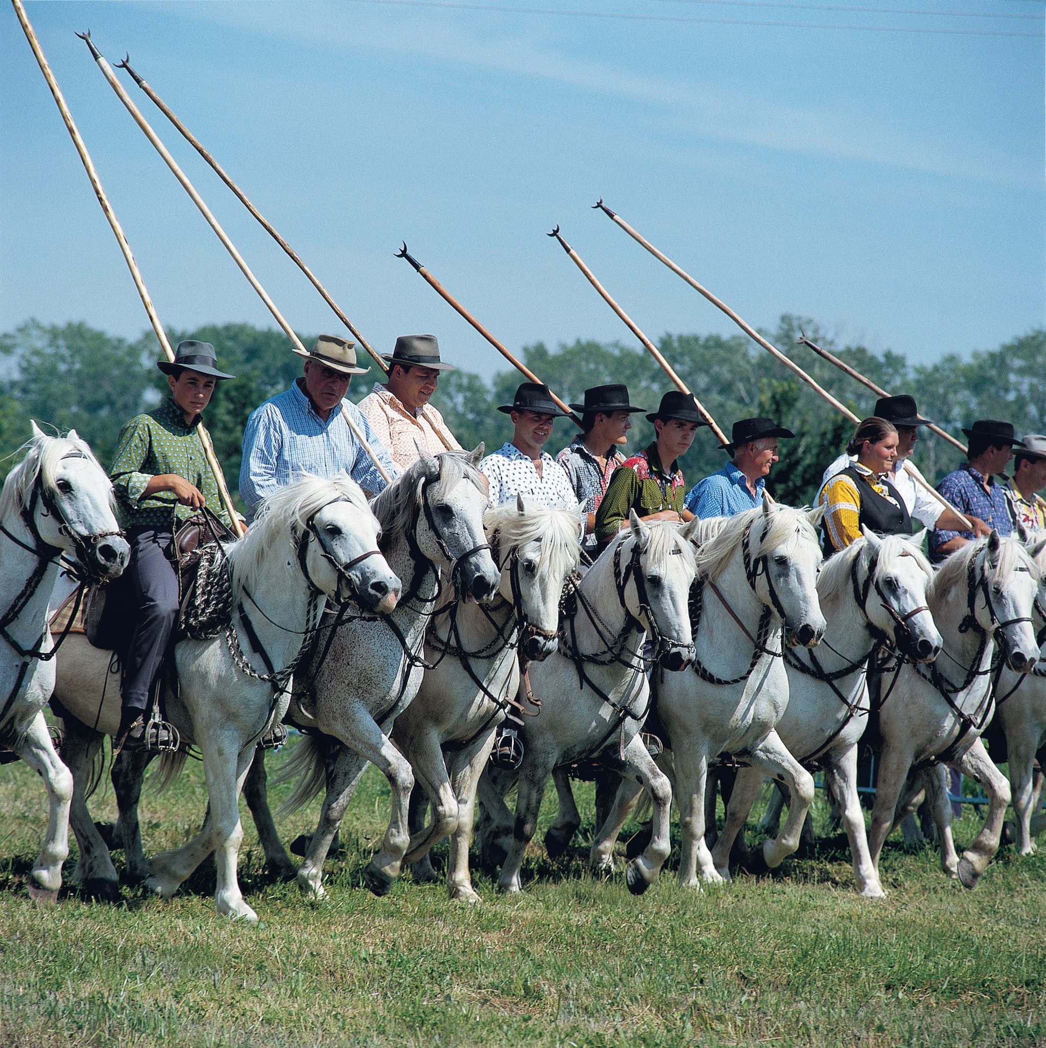 Fête de Pin Fourcat