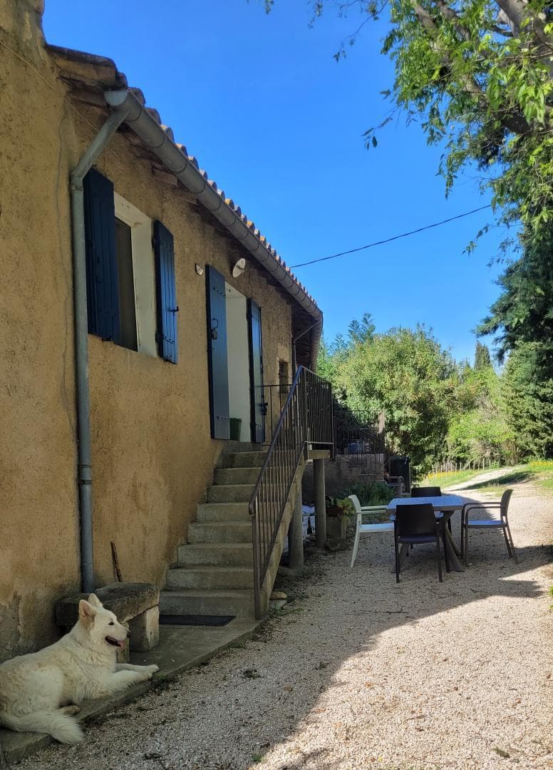 Les Micocouliers