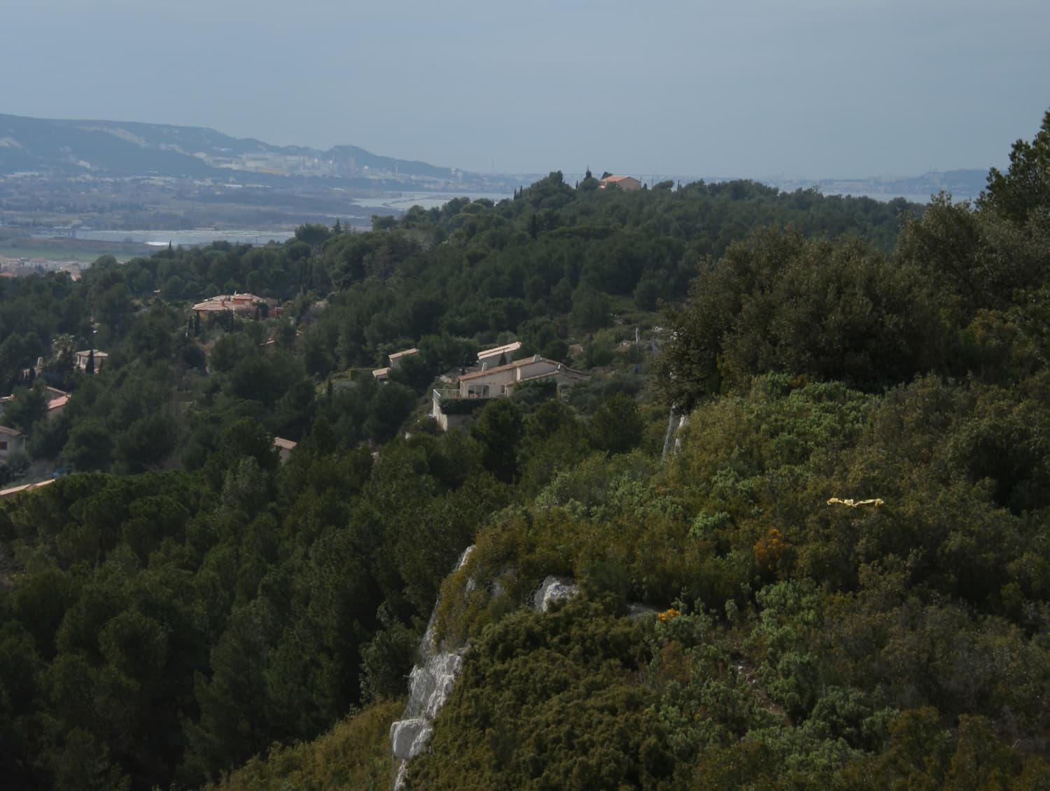 Colline Notre-Dame
