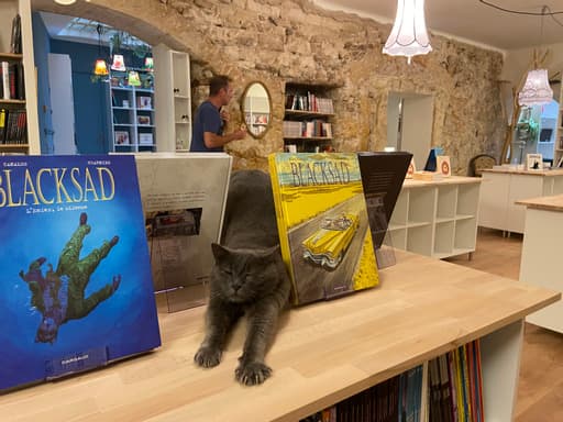 Mon Chat Pitre