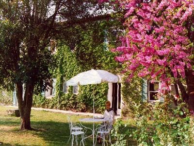13T1037268_1_WEB.jpg