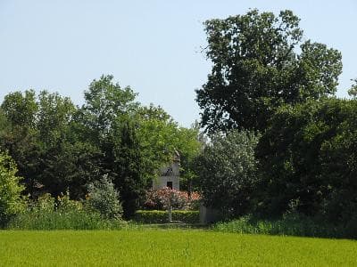 13T1037269_1_WEB.jpg