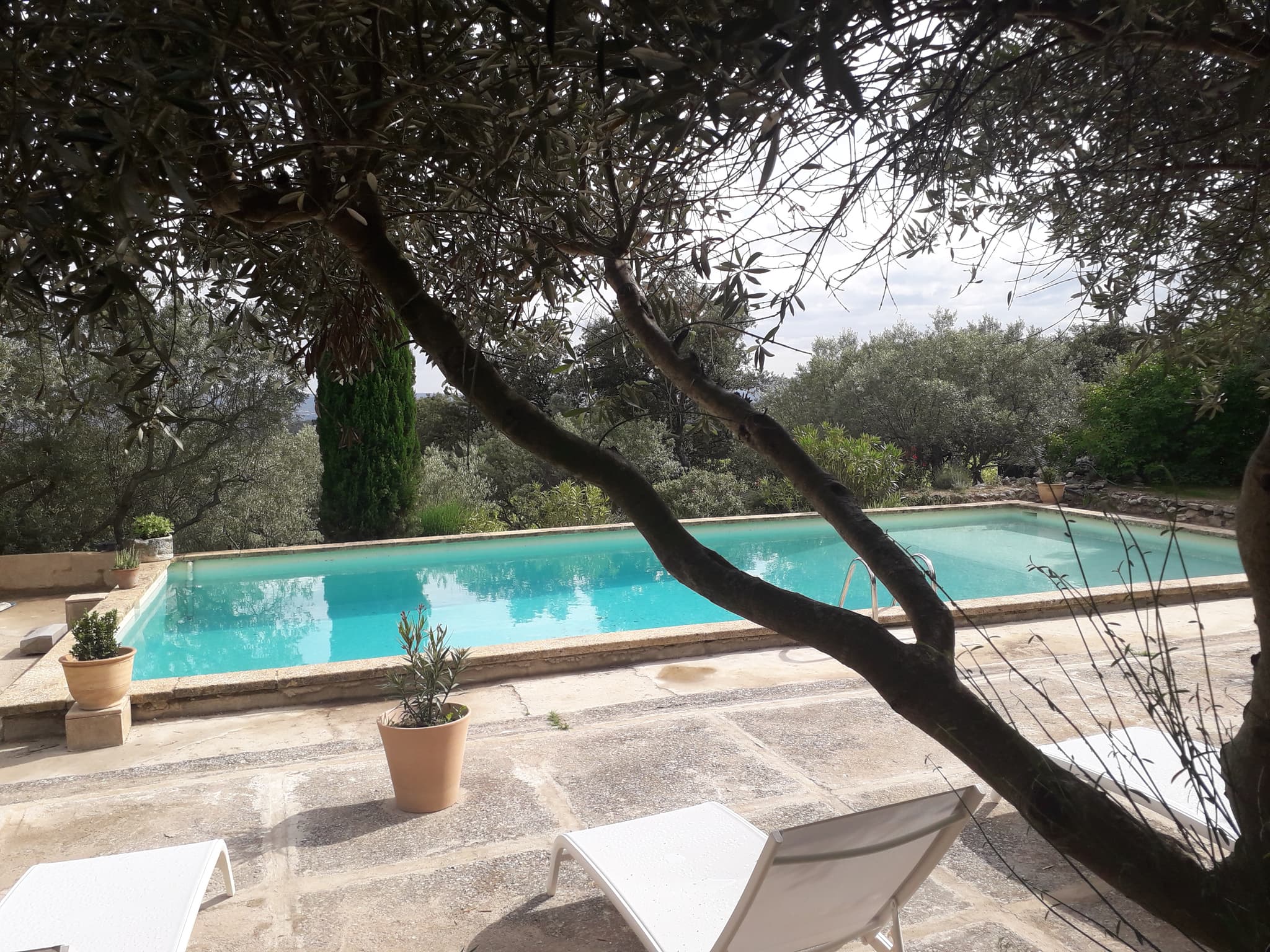 Domaine Clément Sainte Victoire_Puyloubier