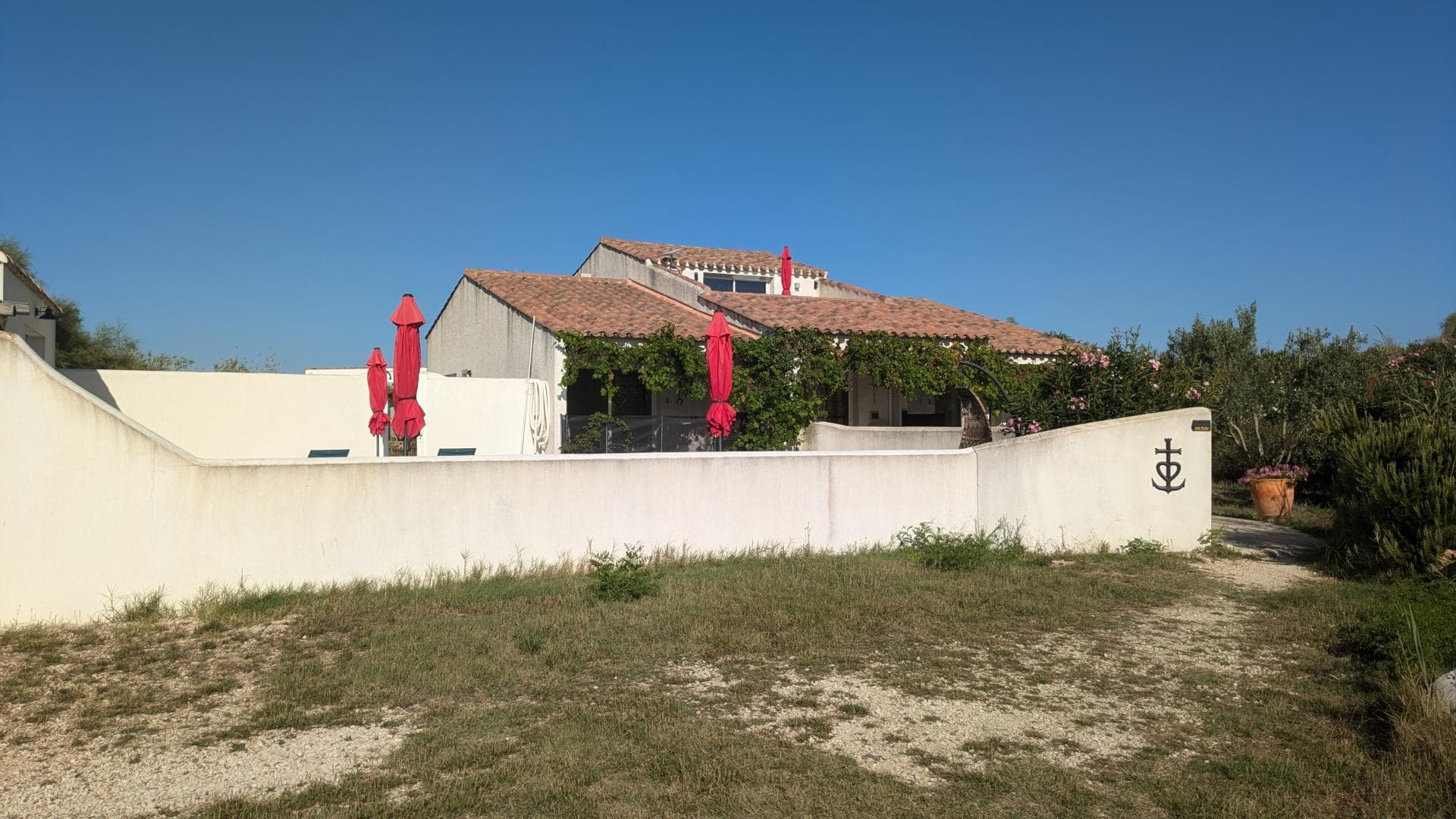 Les Geckos