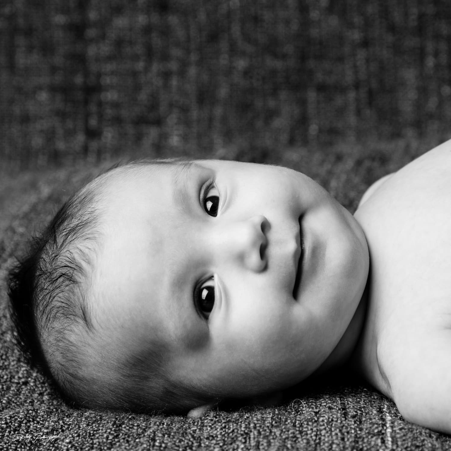 Sophie Bourgeix Photographe