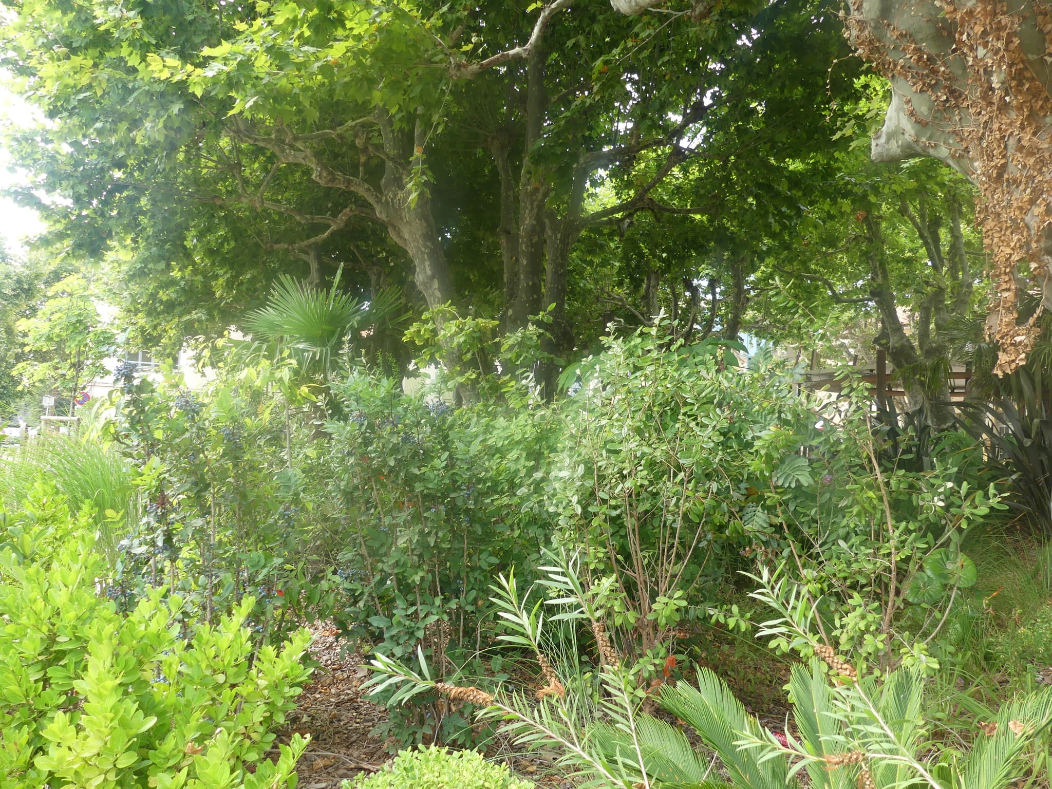 Parc Salvadore Dali