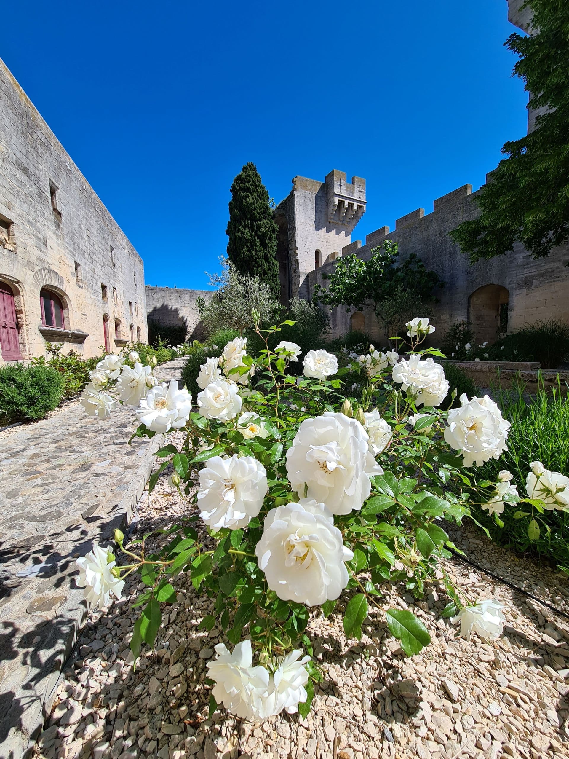 Exposition "La mode au Moyen Âge, élégance et prestige à la cour du roi René »._Tarascon