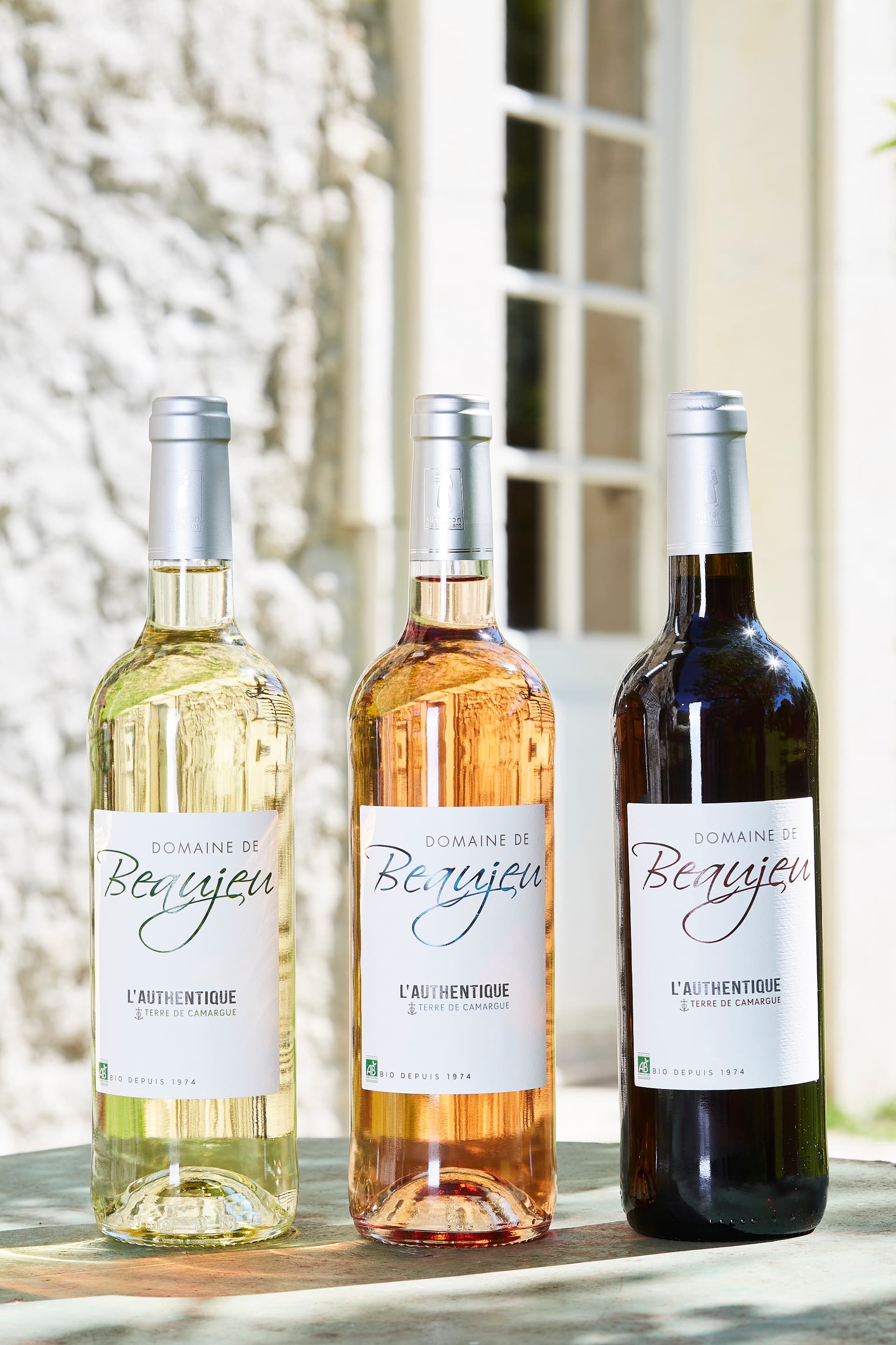 VINS