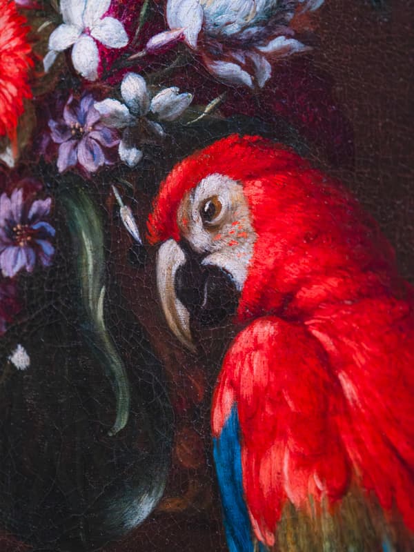 Visite éveil "Gaio, le perroquet haut en couleurs"_Marseille