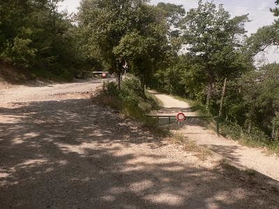 13VIS000832_3_WEB.jpg