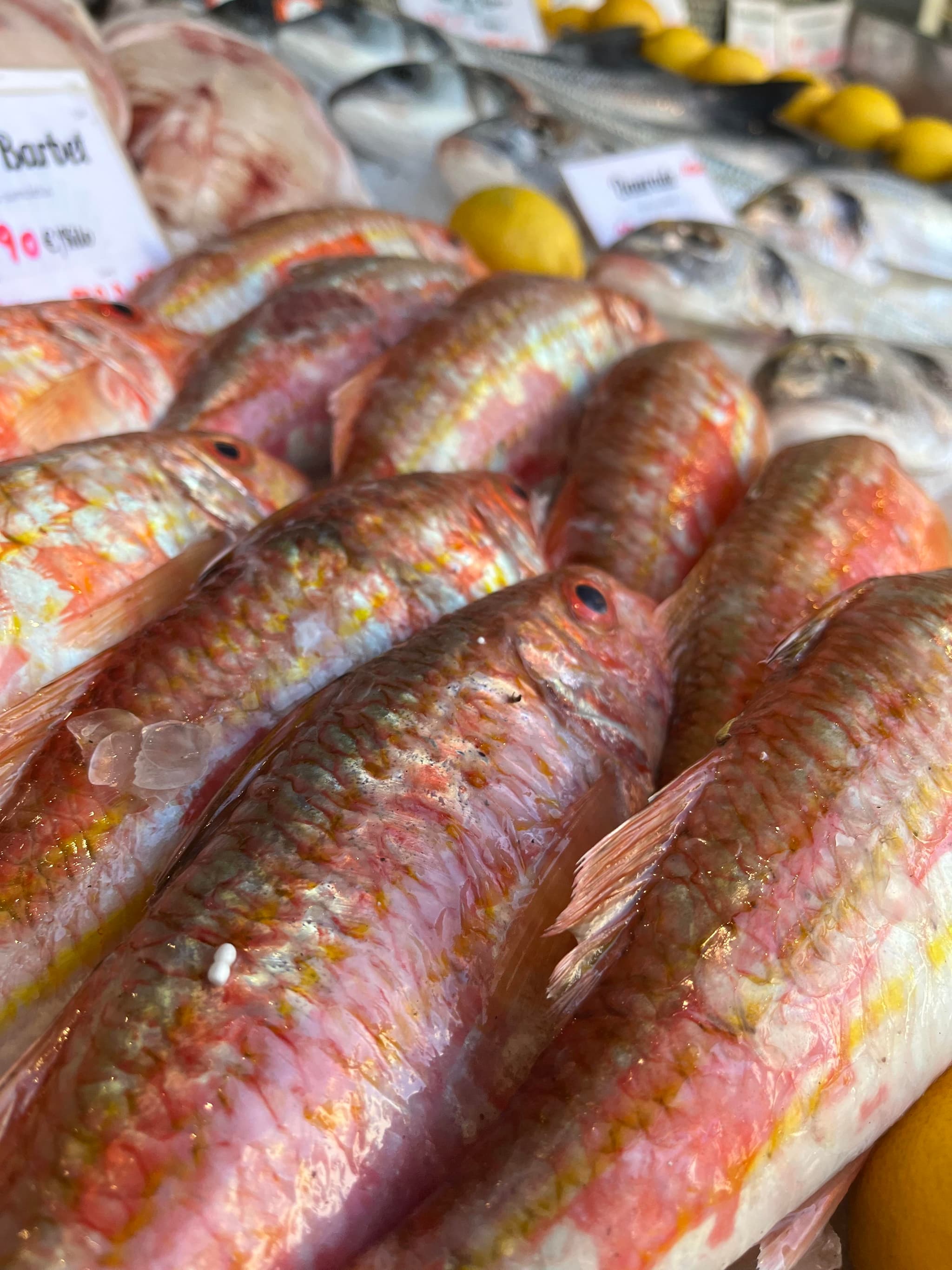 POISSONNERIE PIERROT COQUILLAGES