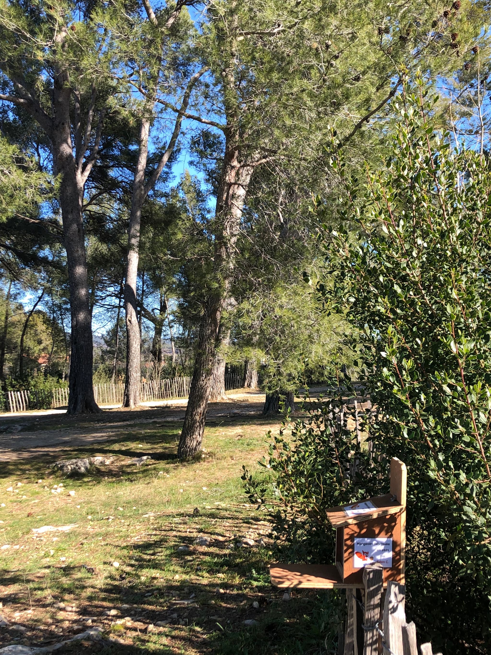 Parc aux écureuils