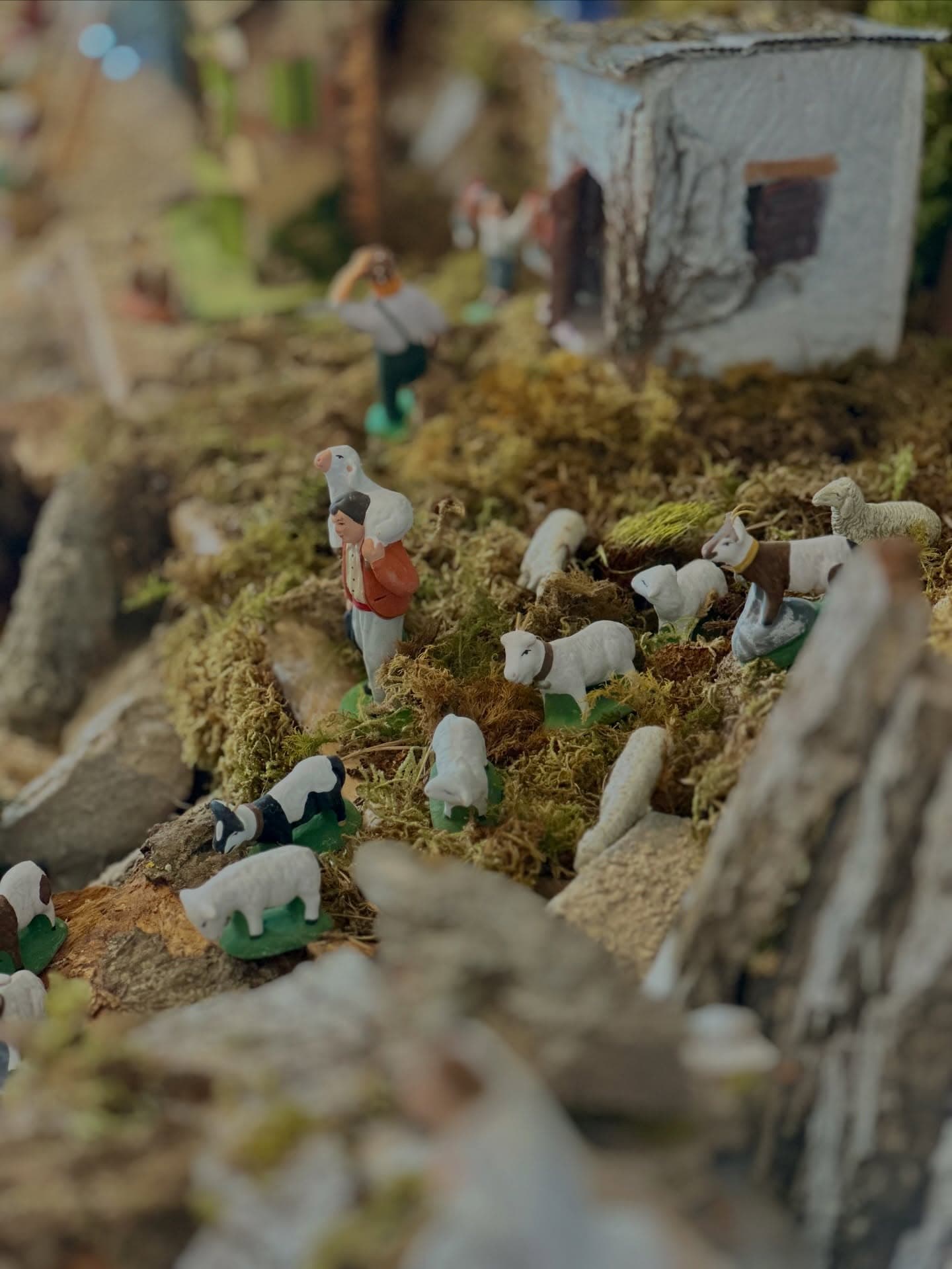 Crèche provençale_Saintes-Maries-de-la-Mer
