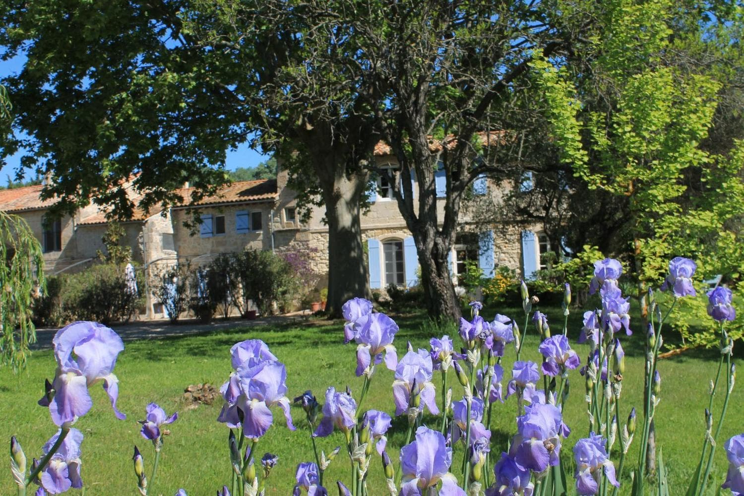 La Treille