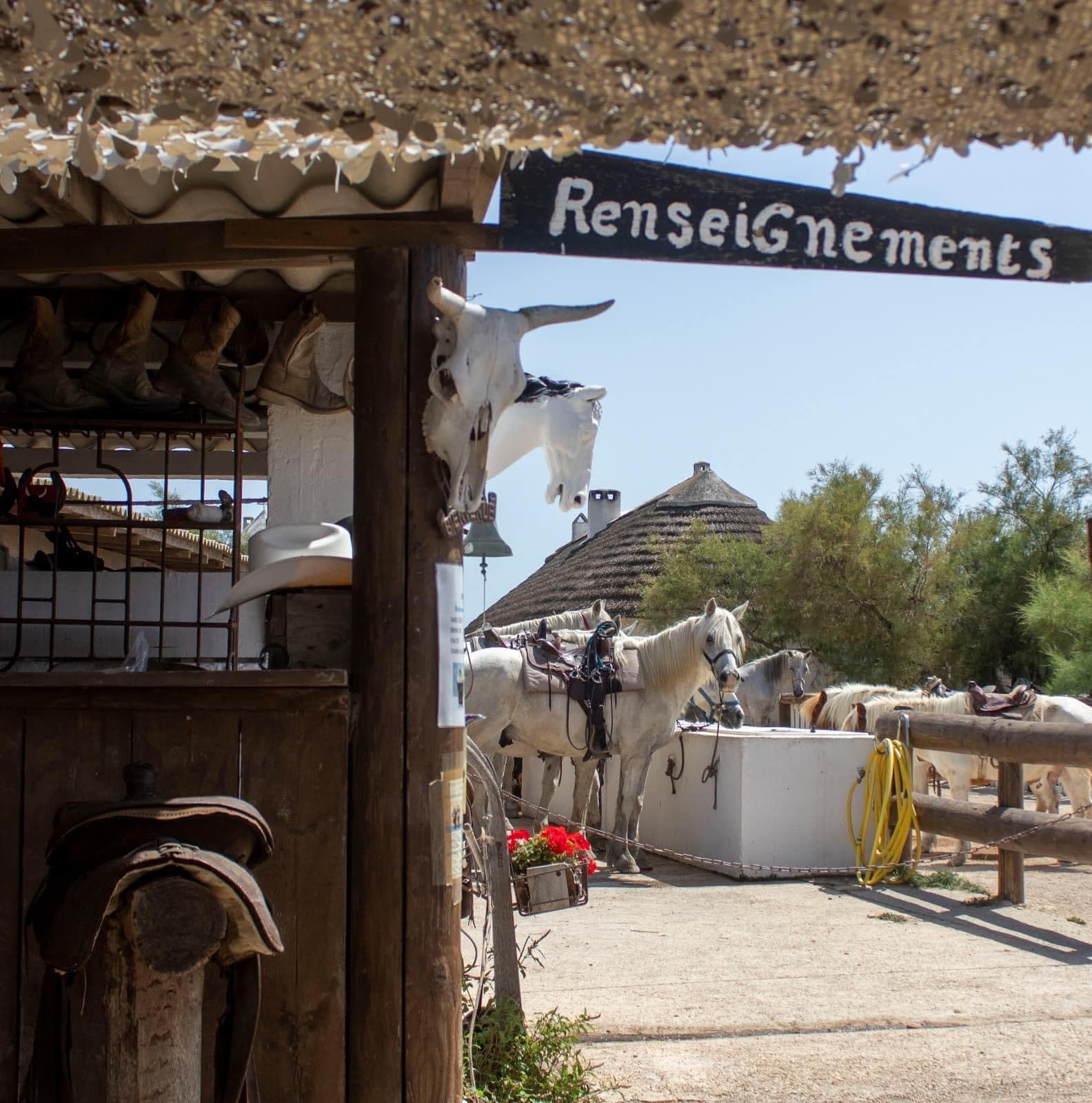Lou Simbeù_Saintes-Maries-de-la-Mer