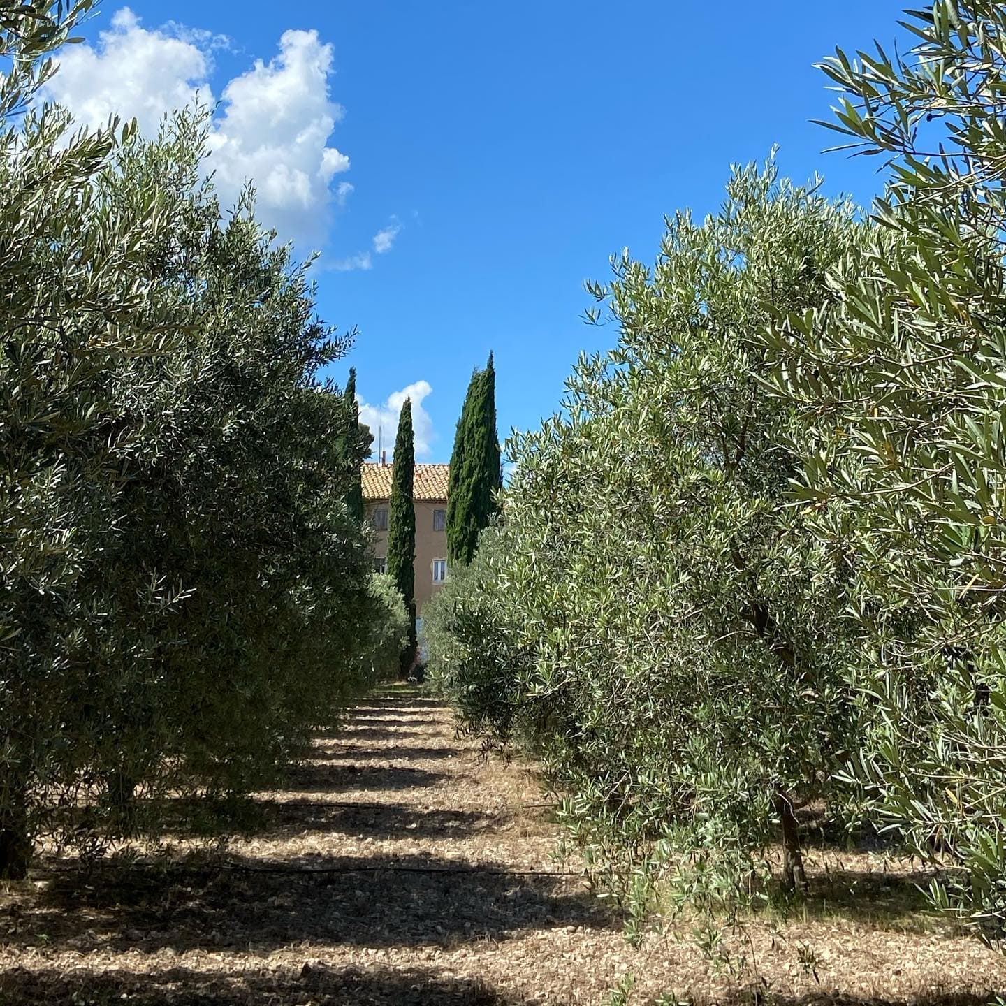 Domaine de Suriane