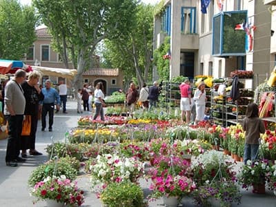 13EV019694_1_WEB.jpg