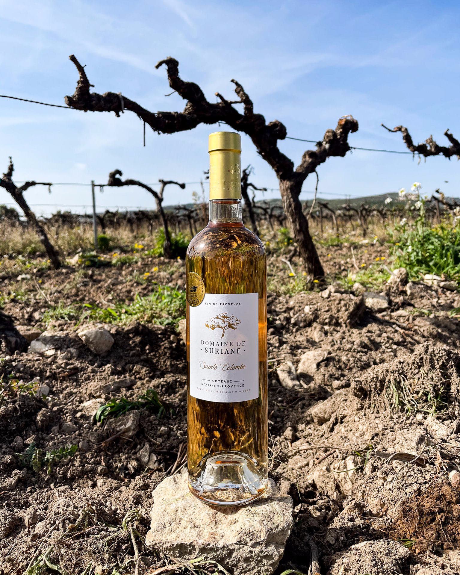 Domaine de Suriane