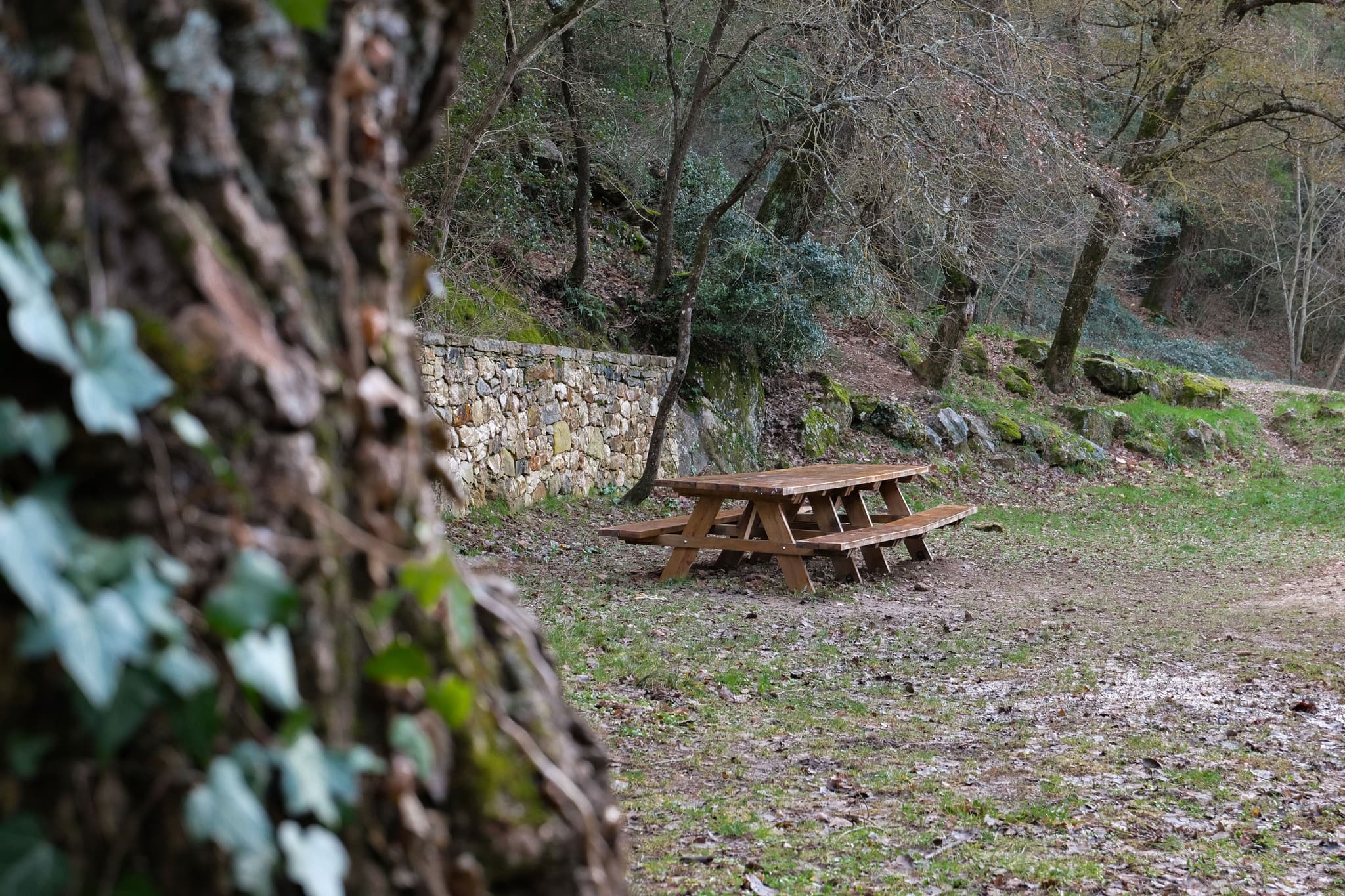 Les Sources des Nayes_Saint-Zacharie