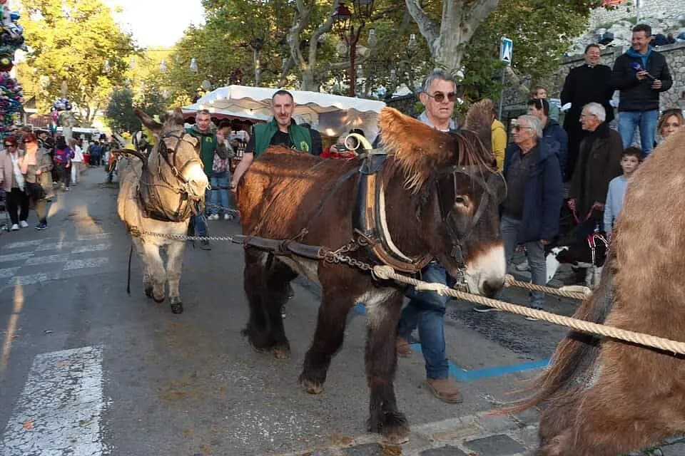Excursion - Fête de l'âne Allauch