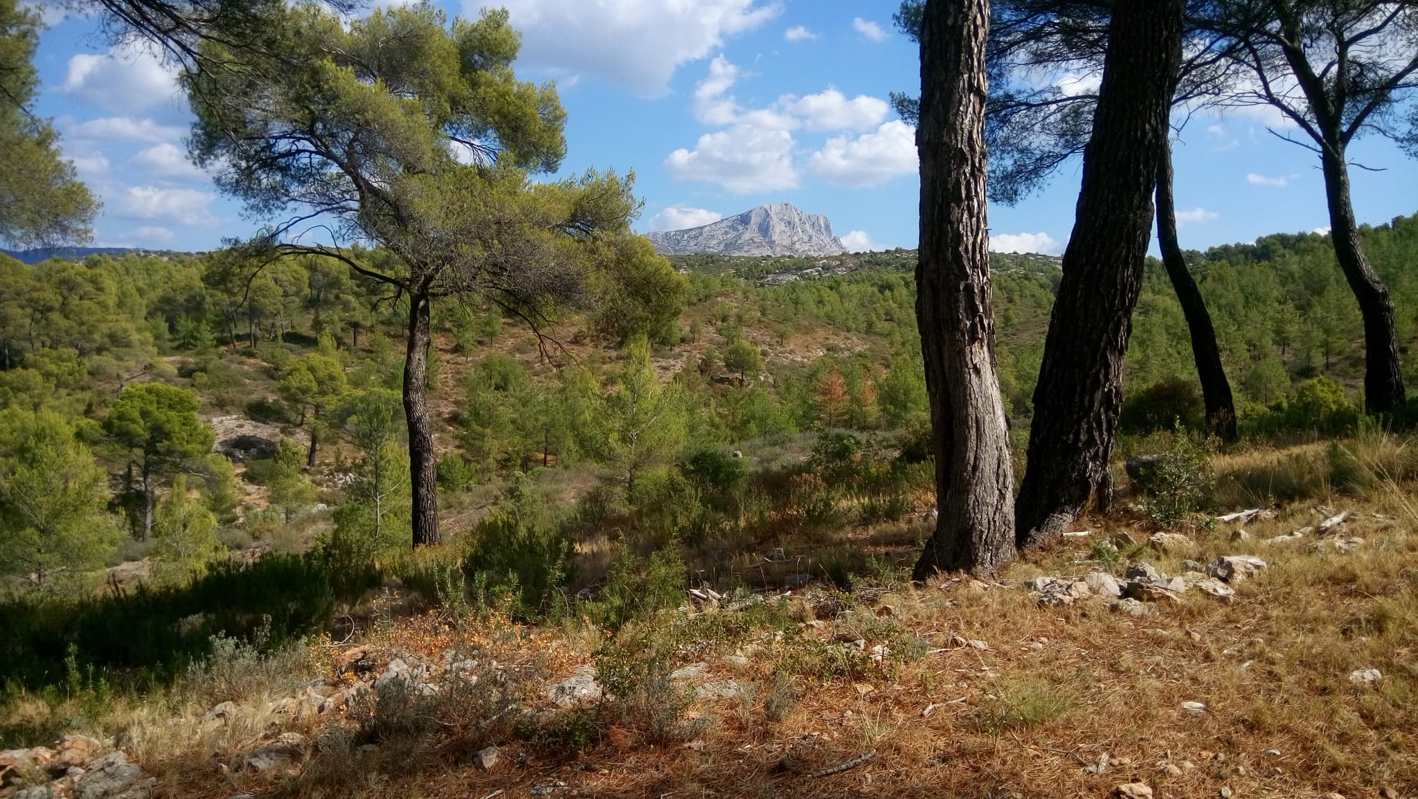 Grand Site Concors Sainte-Victoire