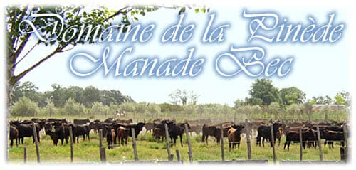 Manade Bec