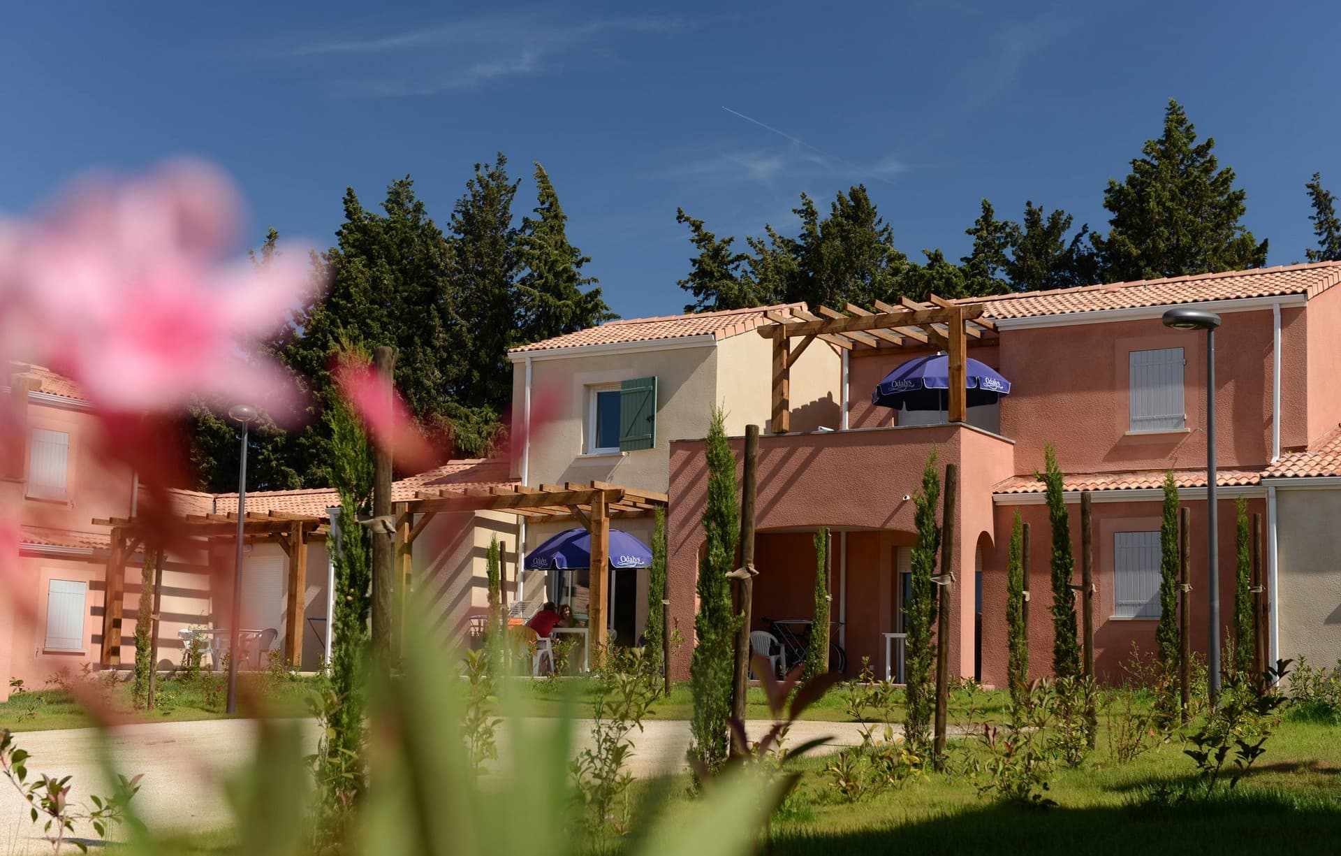 Résidence Odalys Le Mas des Alpilles_Paradou