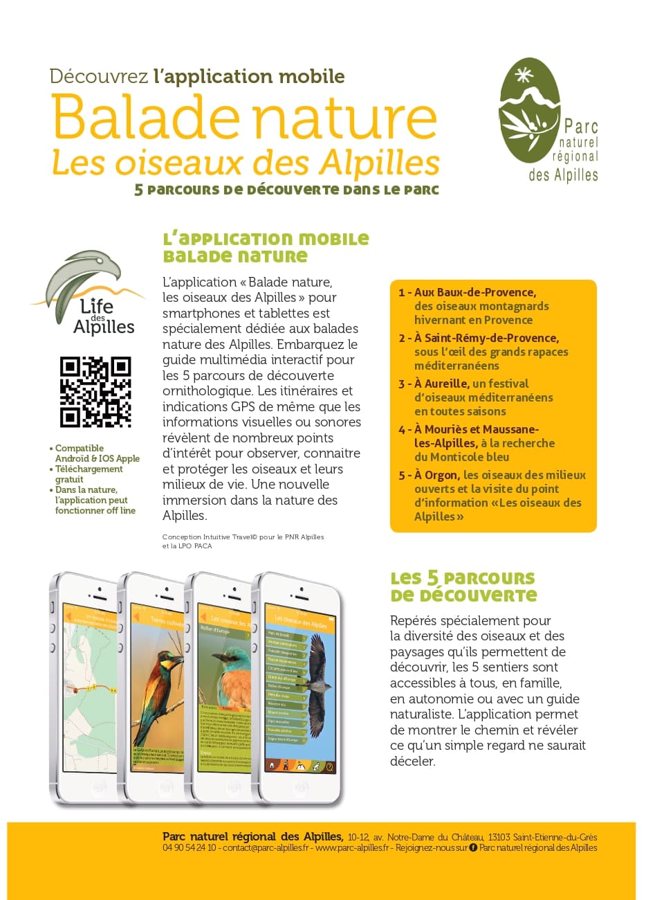 Balade nature - Les oiseaux des milieux ouverts