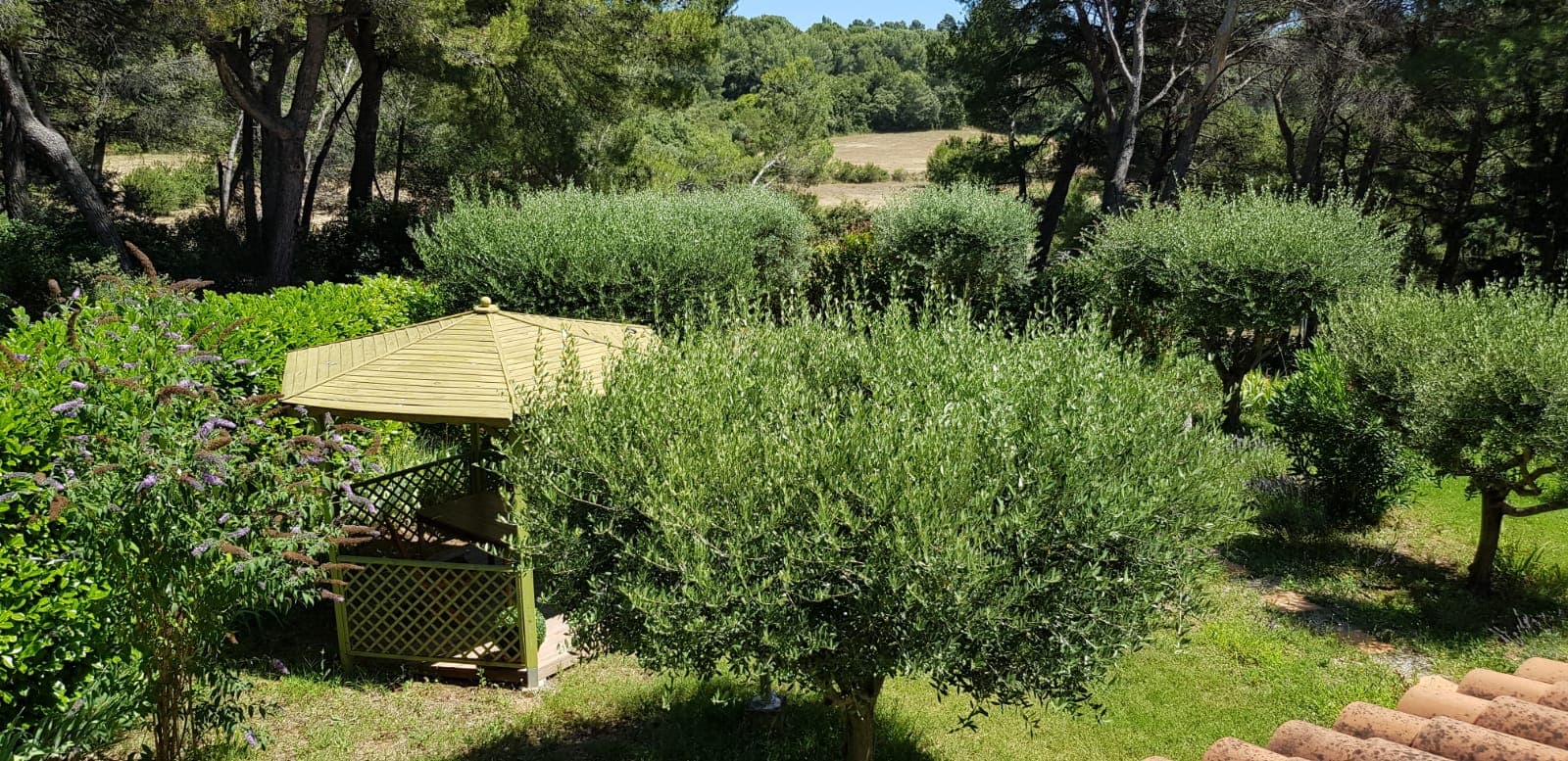 Les Hauts Pinchinats