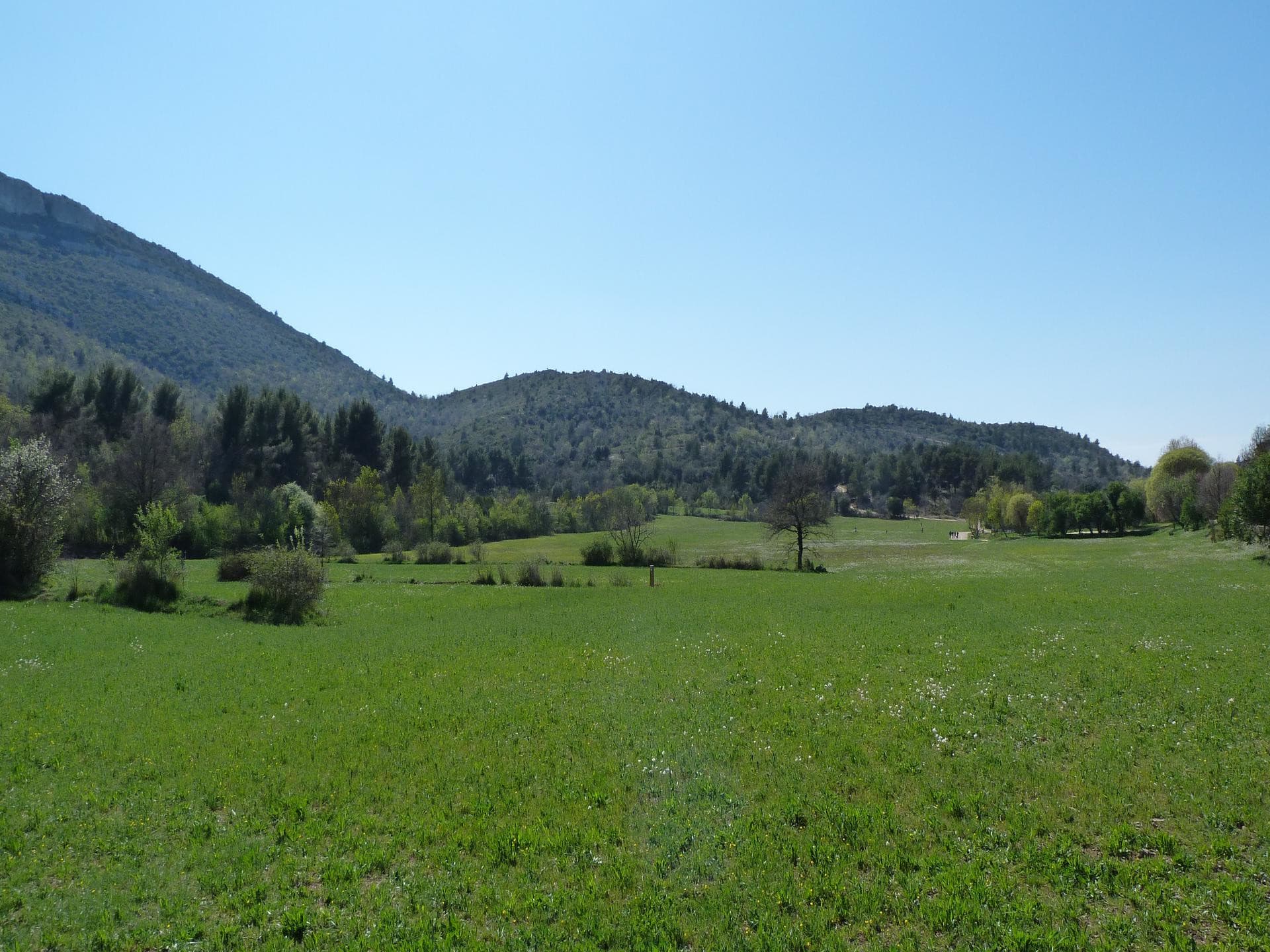 13SNA000013_1_HD.jpg