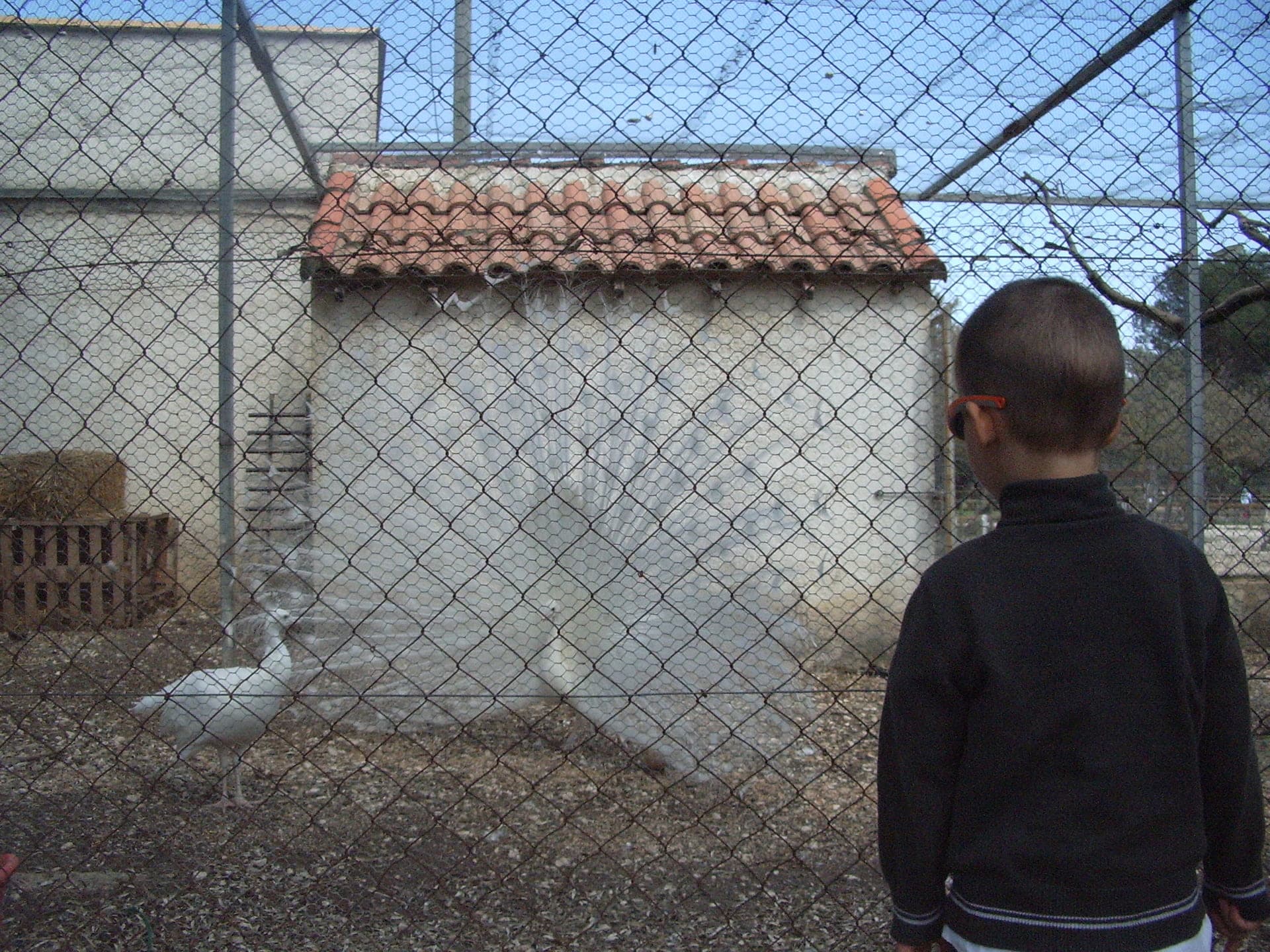 Ferme pédagogique du Parc de Figuerolles_Martigues