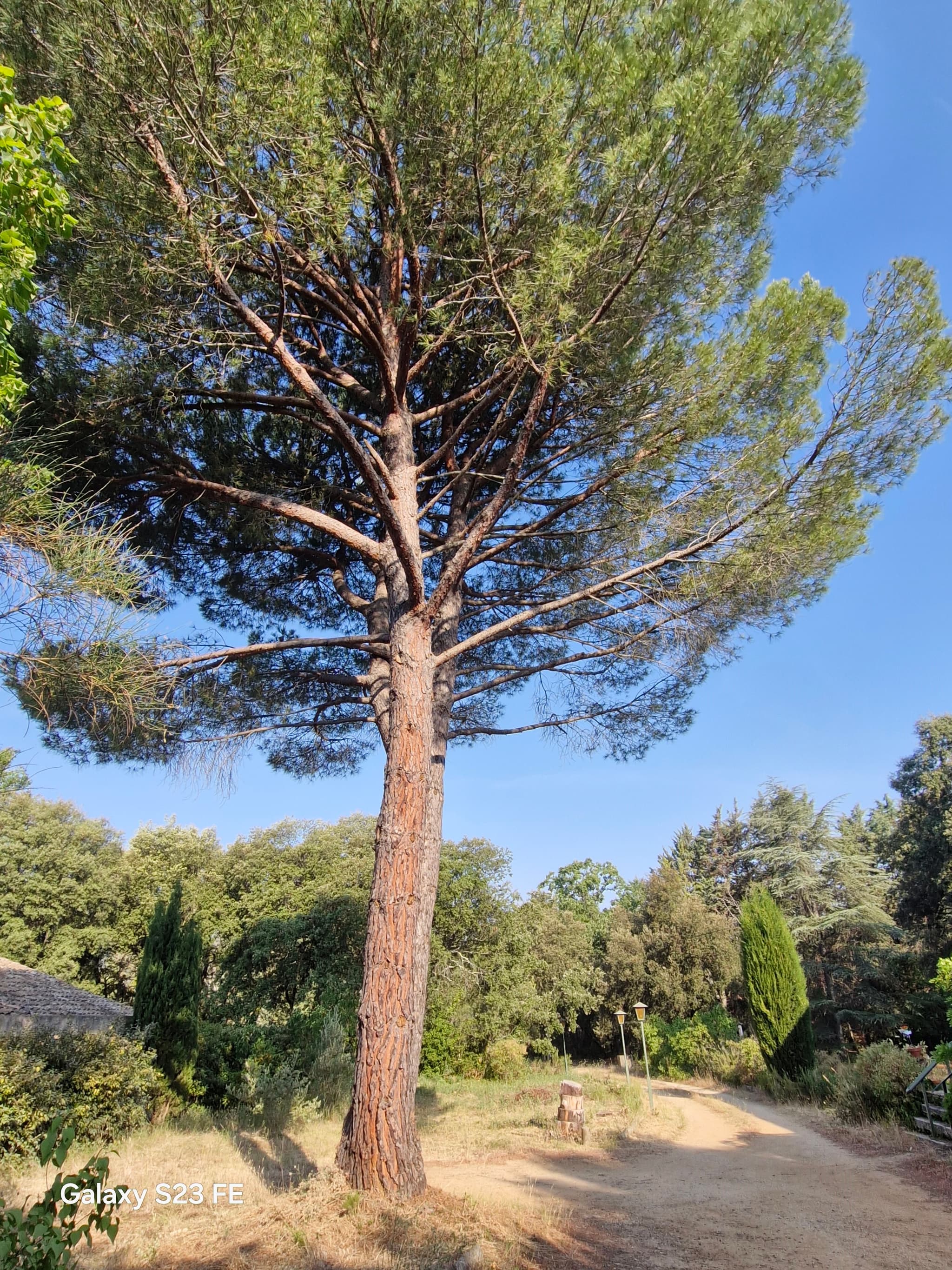 Villa Le Pin
