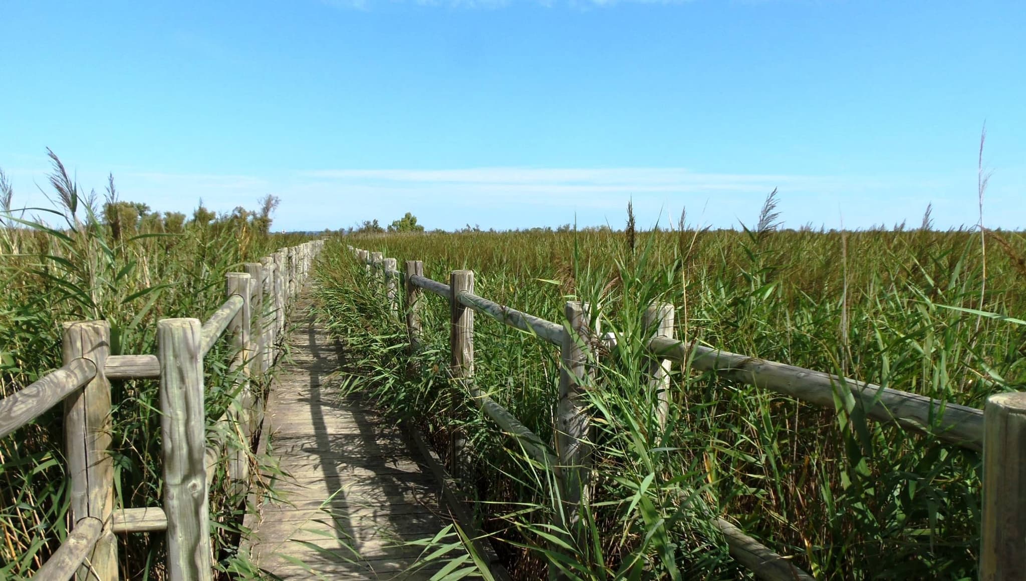 ARLES - Sur le sentier du Pont de Rousty