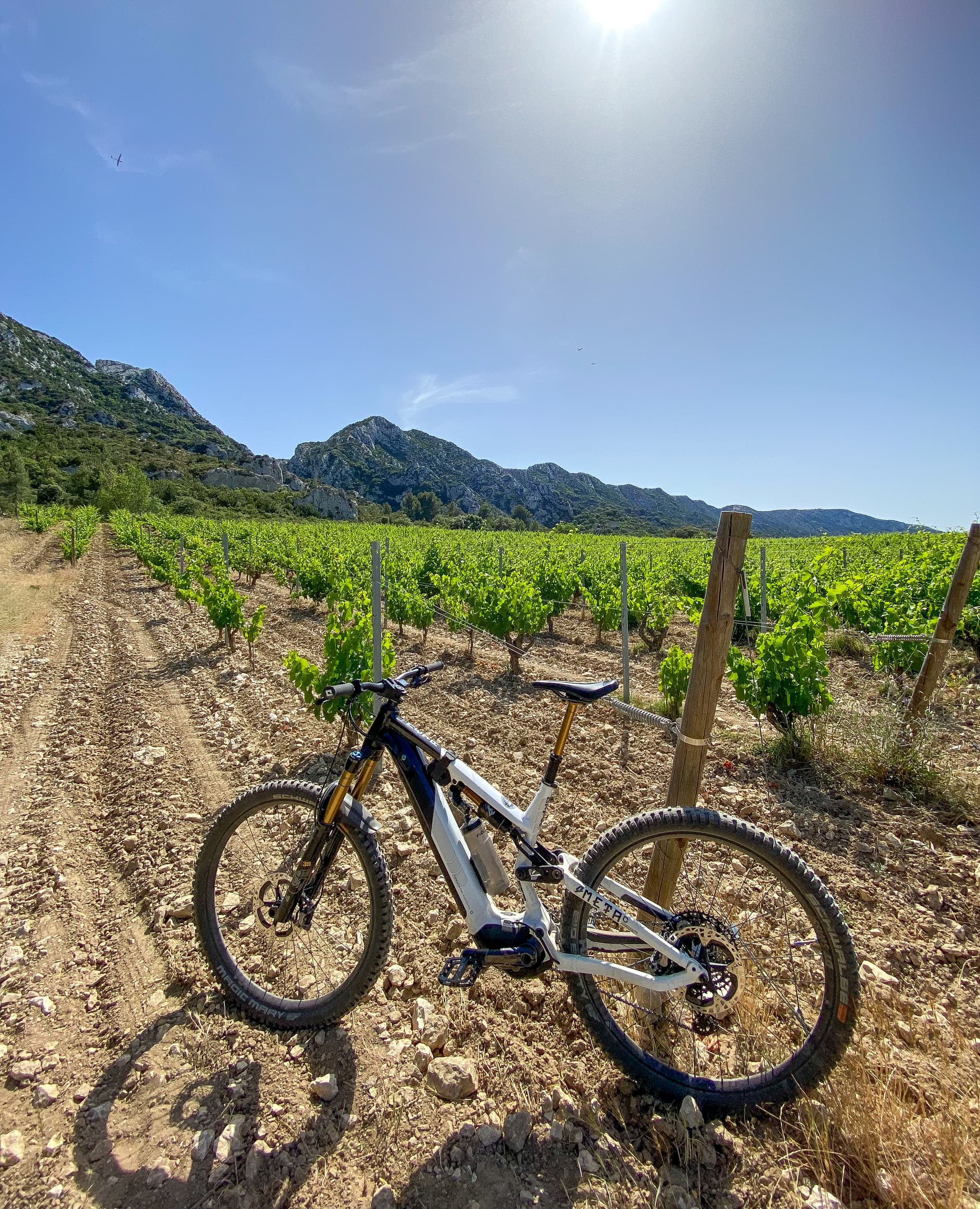 DELTARIDE MTB
