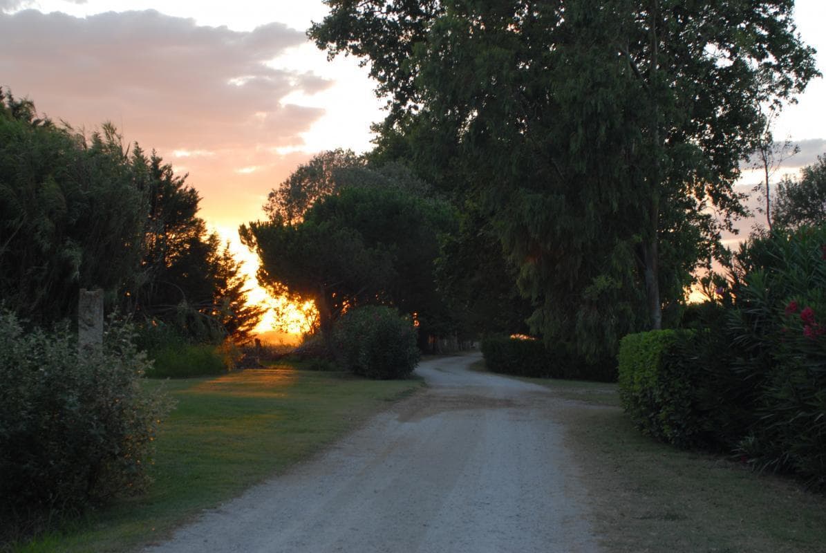 Le Jardin
