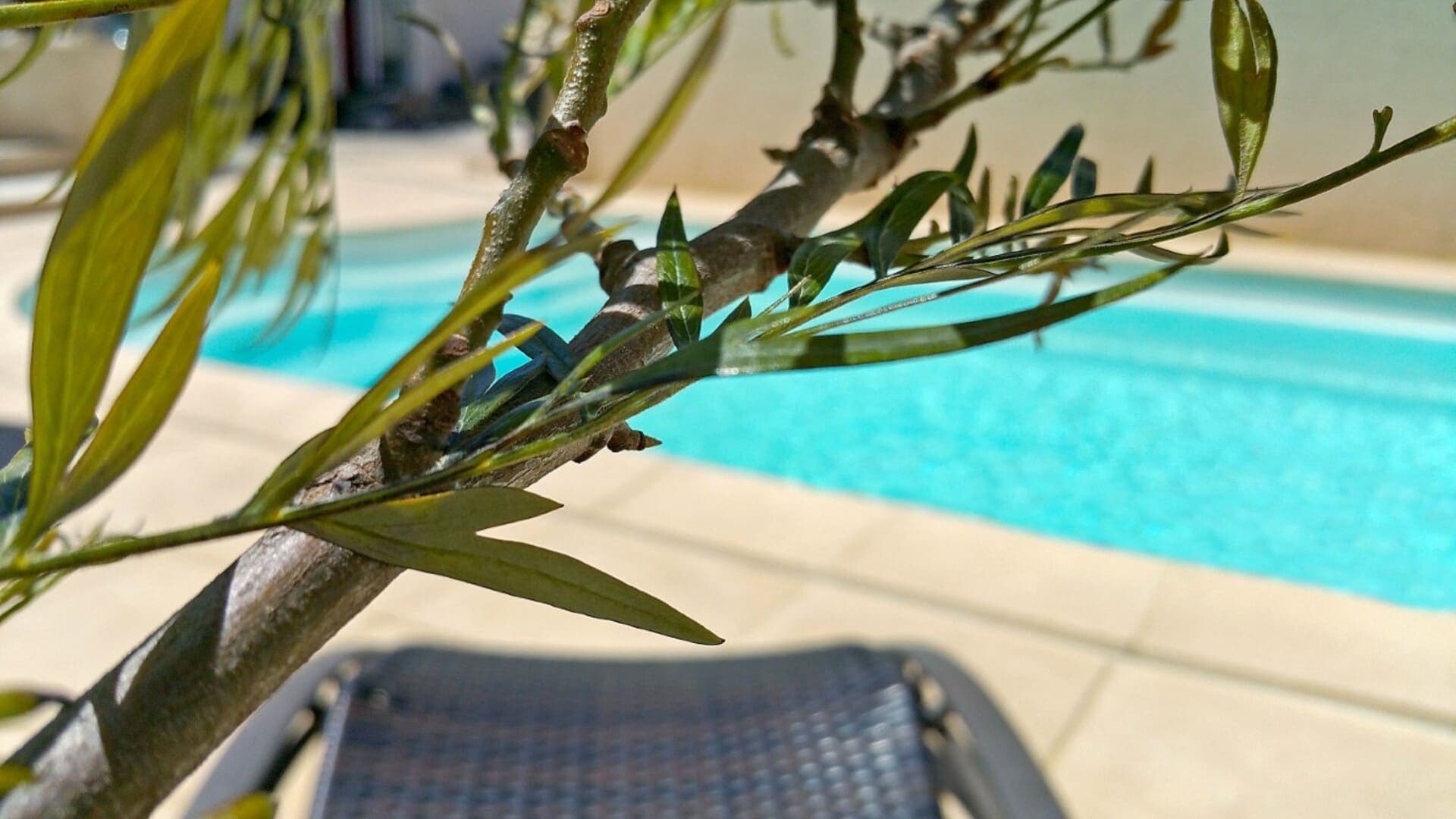 T4 avec piscine et jardin privé - Plage à 800 m