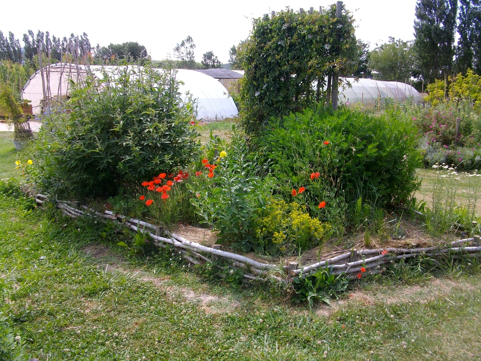 Croq'jardin