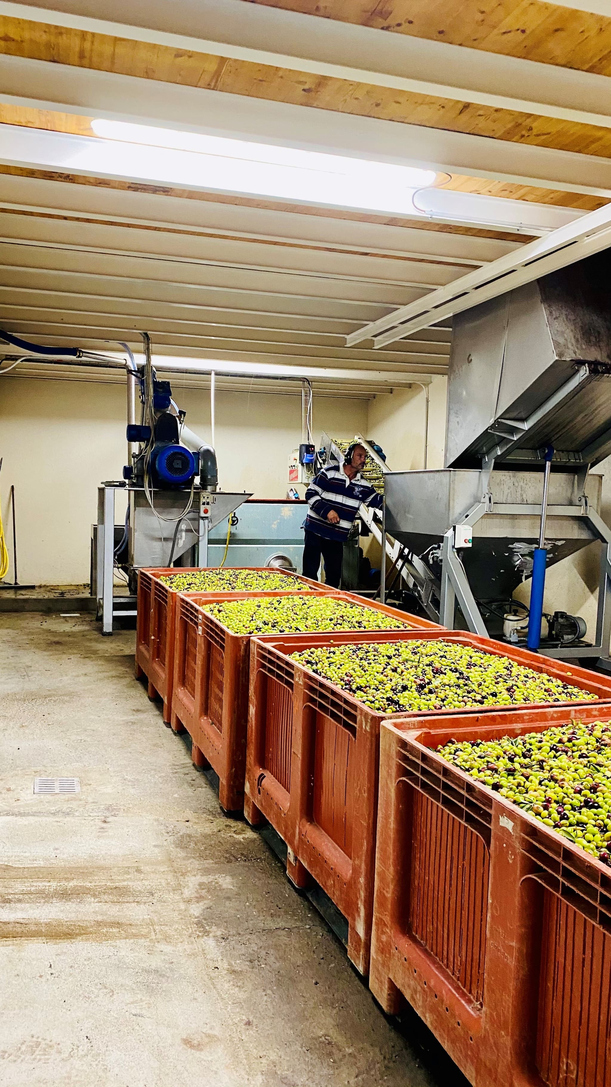 Le moulin à olives d’Éguilles