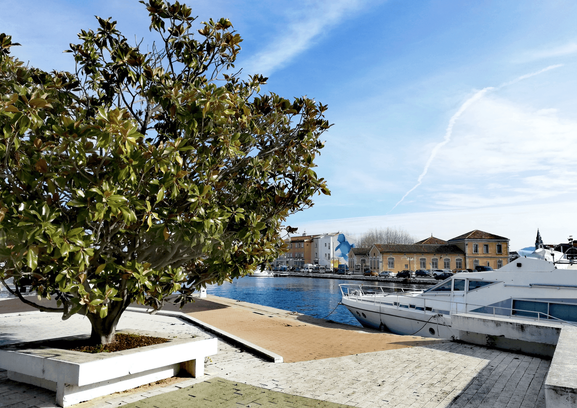 Peinture monumentale de Guillaume Bottazzi_Martigues
