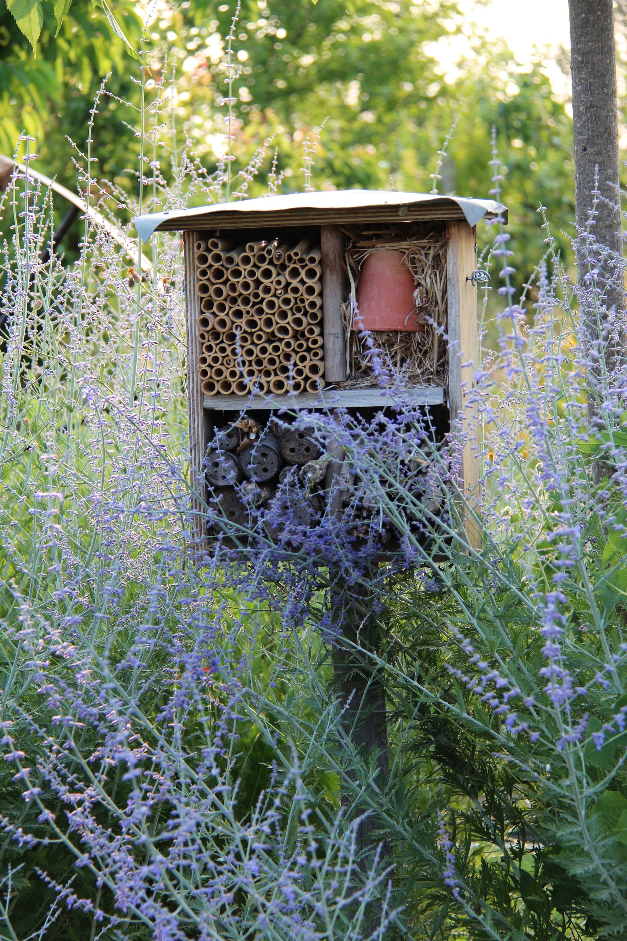 Croq'jardin