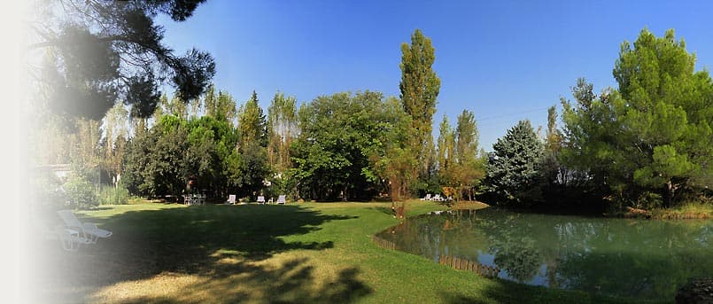 Maistro