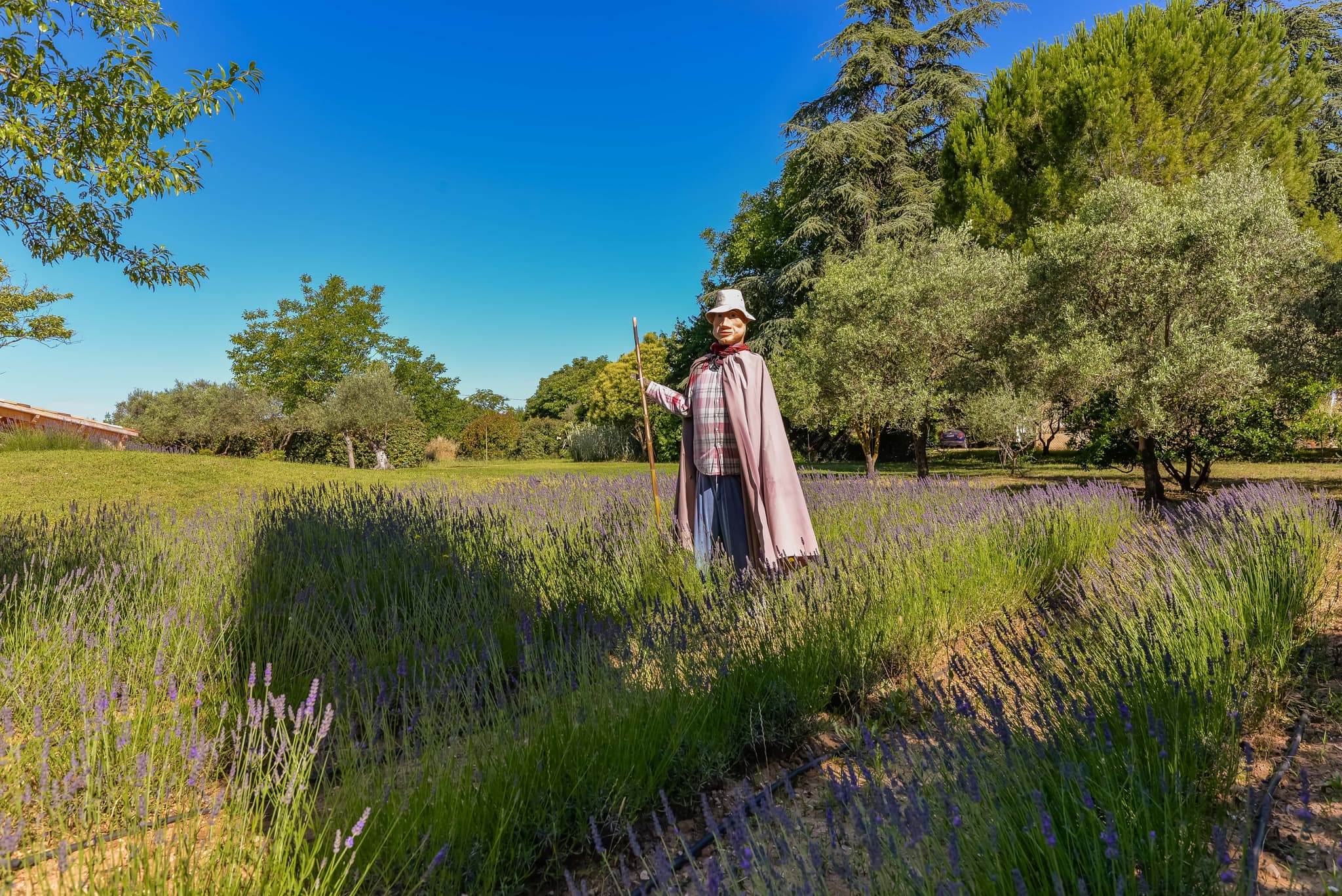 Les Nids du Luberon