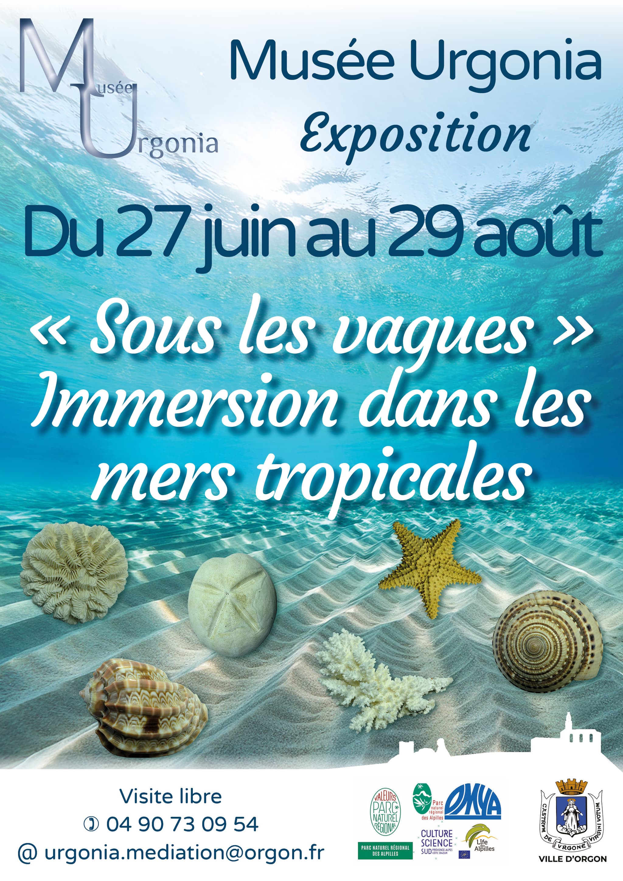 Exposition « Sous les vagues » - Immersion dans les mers tropicales_Orgon