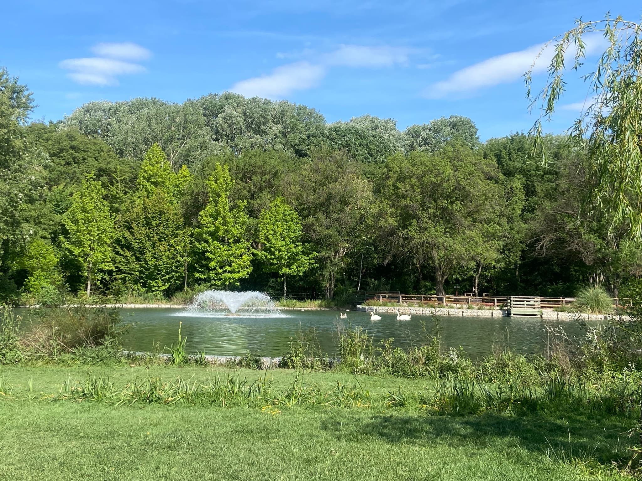 Le jardin de Gaston
