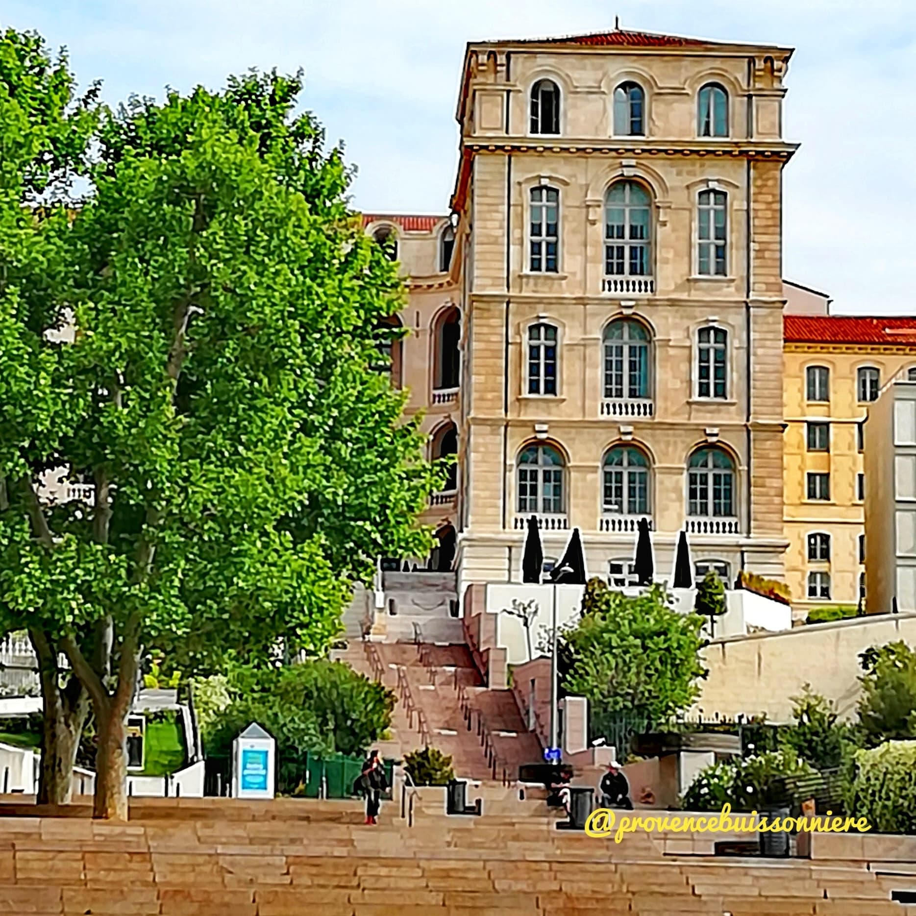 Provence Buissonnière