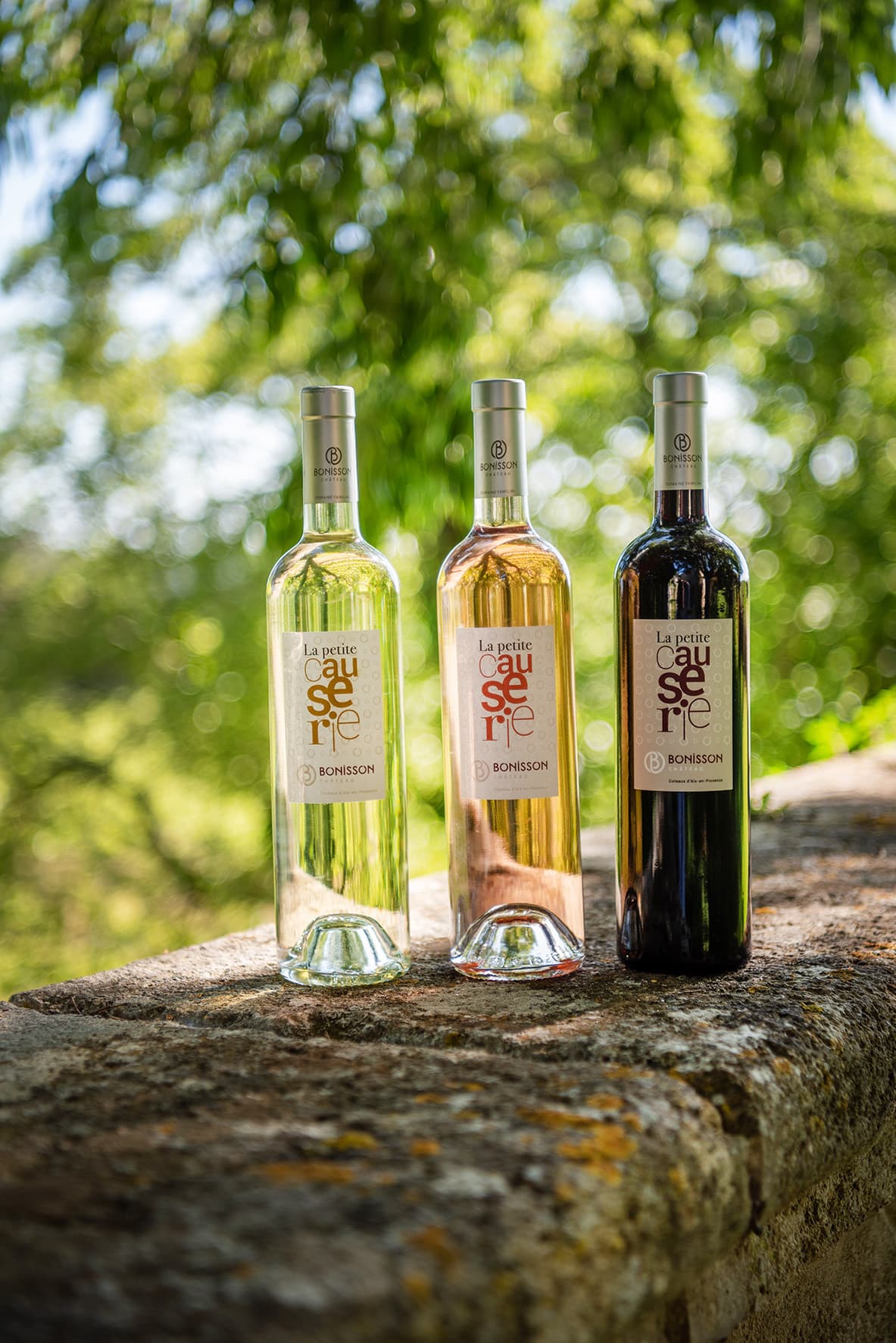 Domaine - Château Bonisson_Rognes
