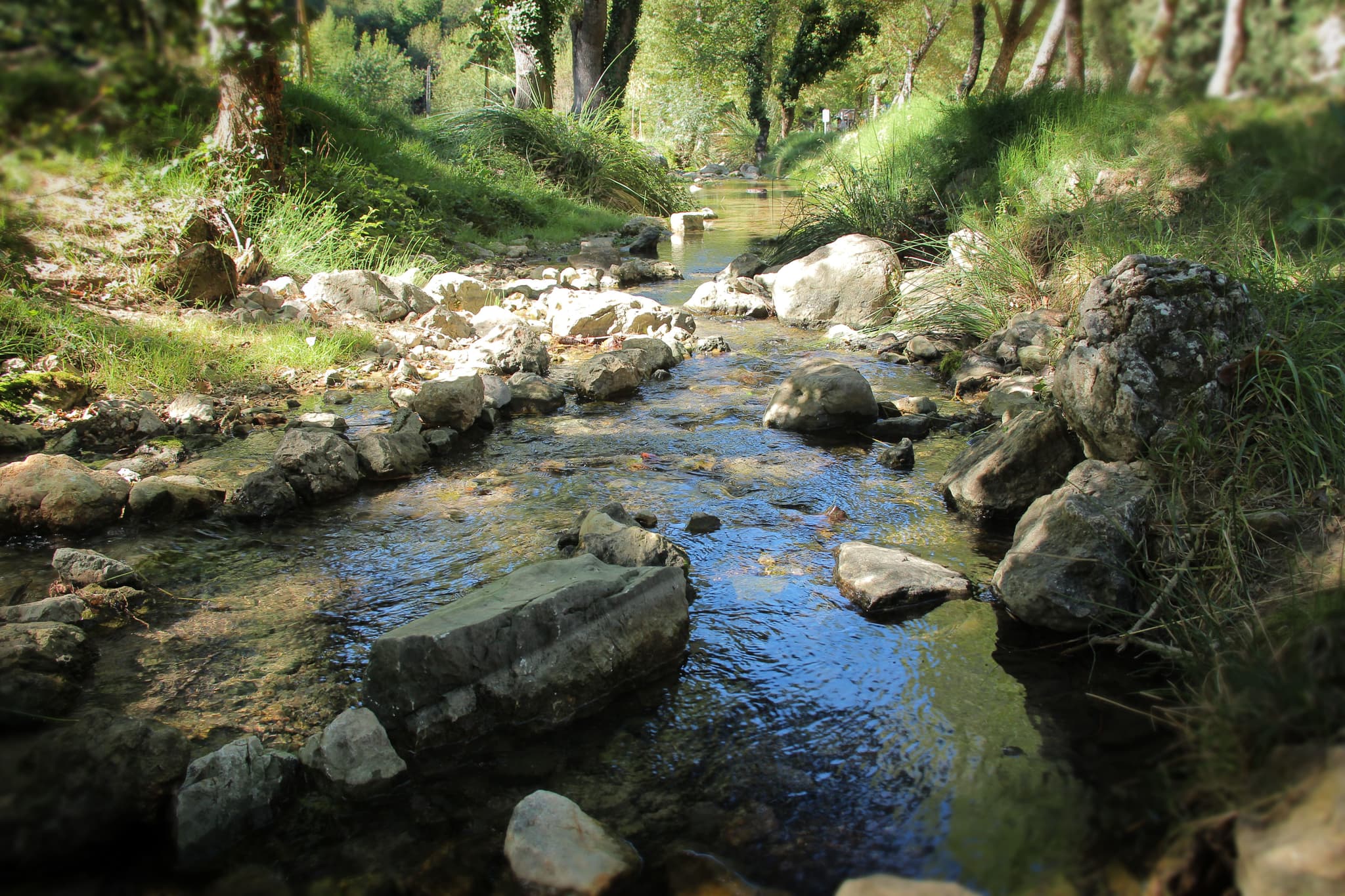 Les Sources des Nayes_Saint-Zacharie