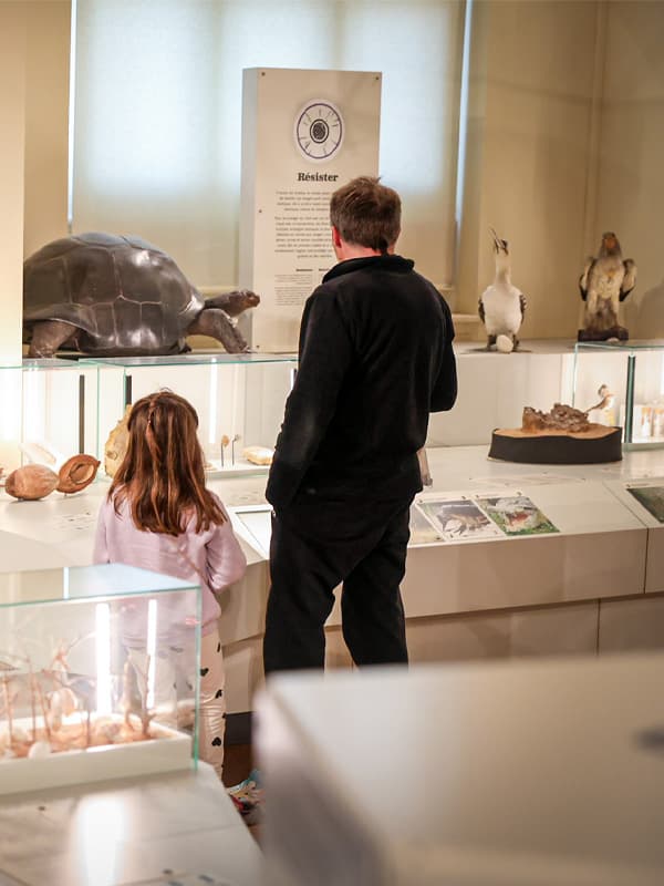 Collection permanente du Muséum d'Histoire Naturelle de Marseille - "Terre d’évolution" _Marseille