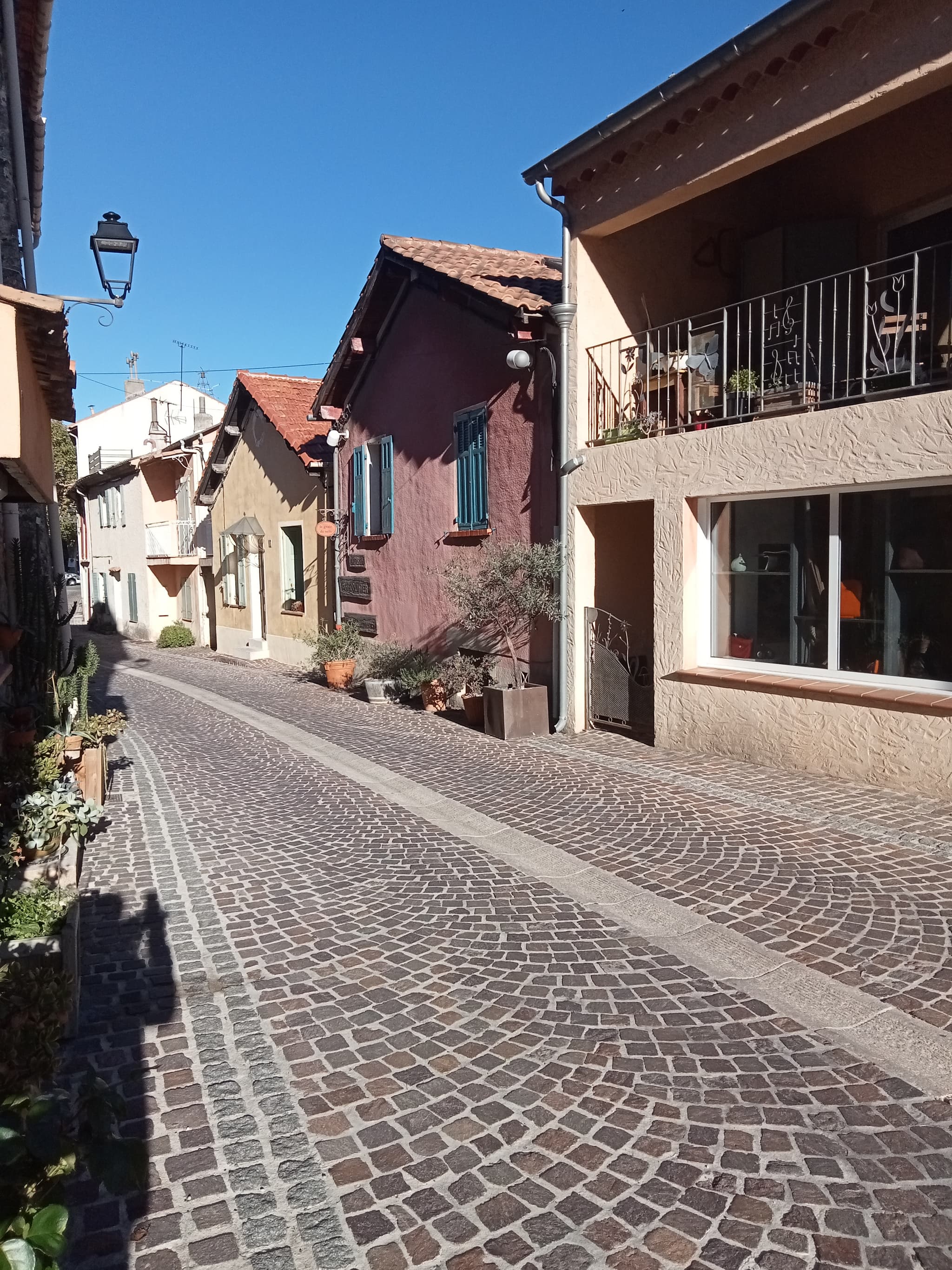 Le Grain de Selle