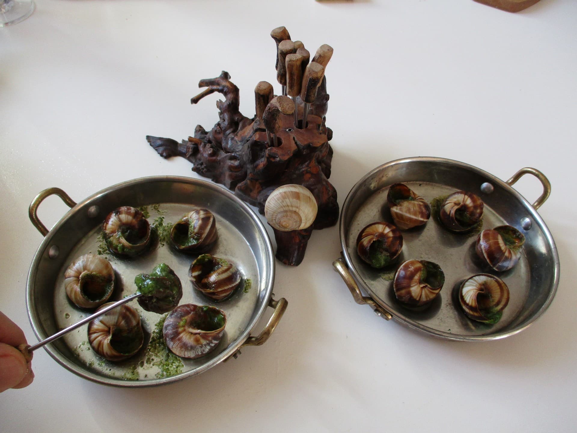 L_Escargot_des_Alpilles_plats©Arnaud_25